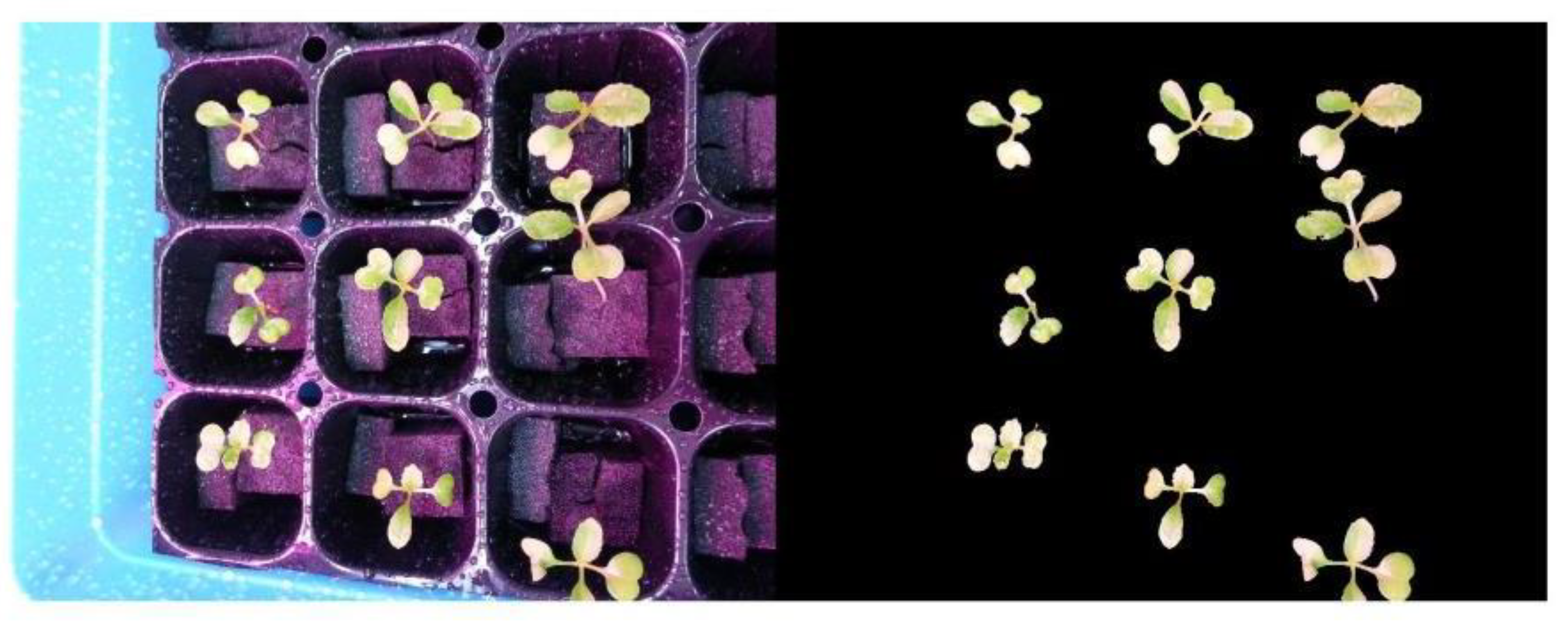 Electronics 09 01661 g018