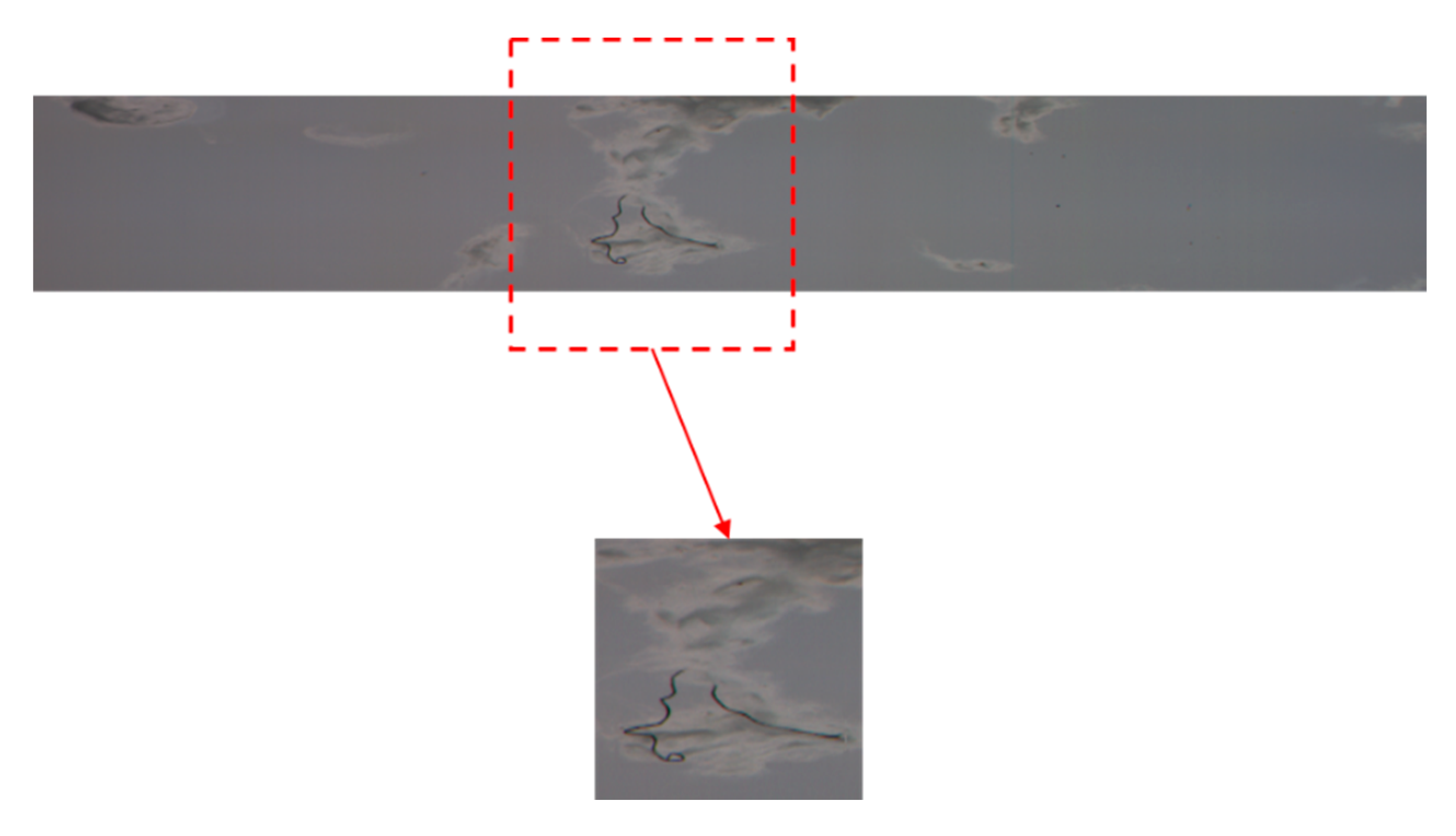 Electronics 09 01795 g006