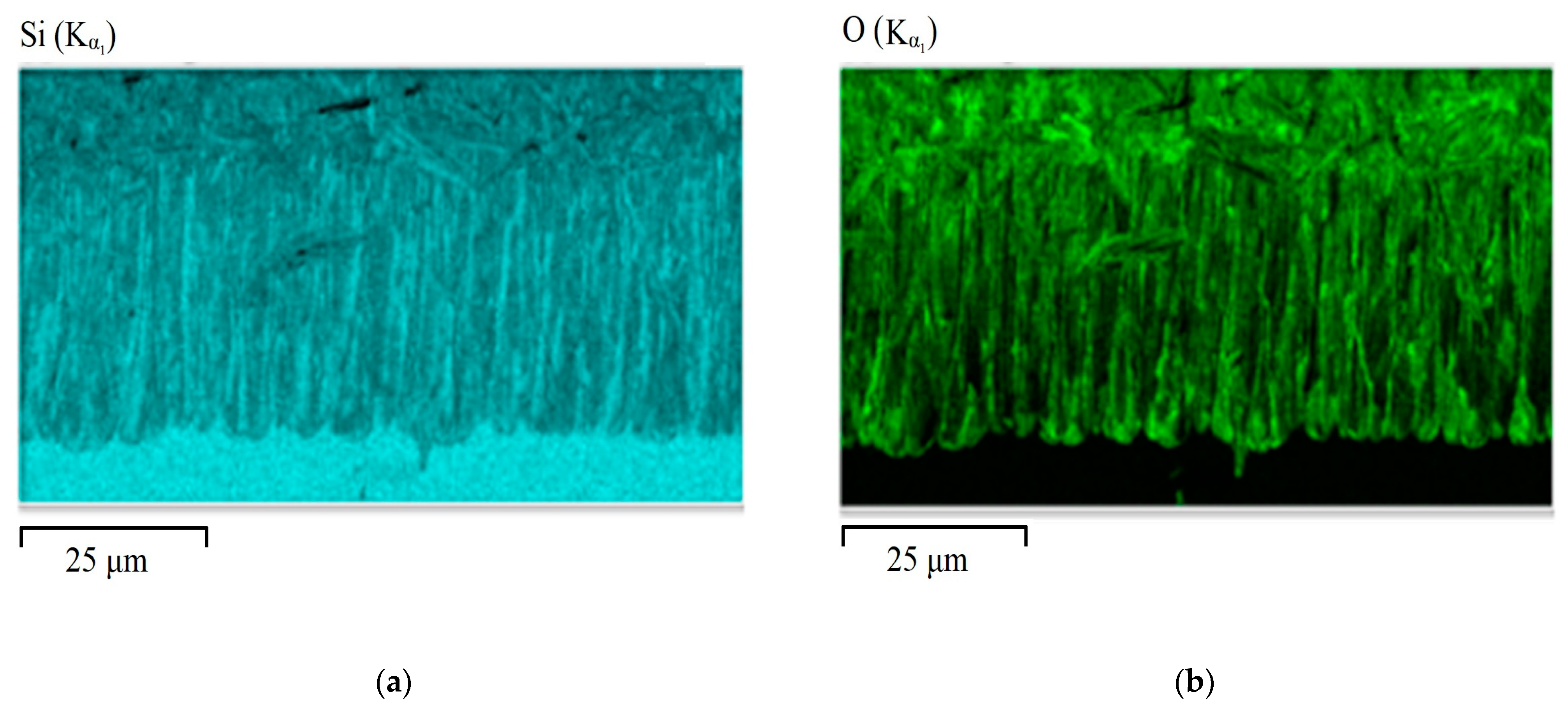 Electronics 10 00042 g003