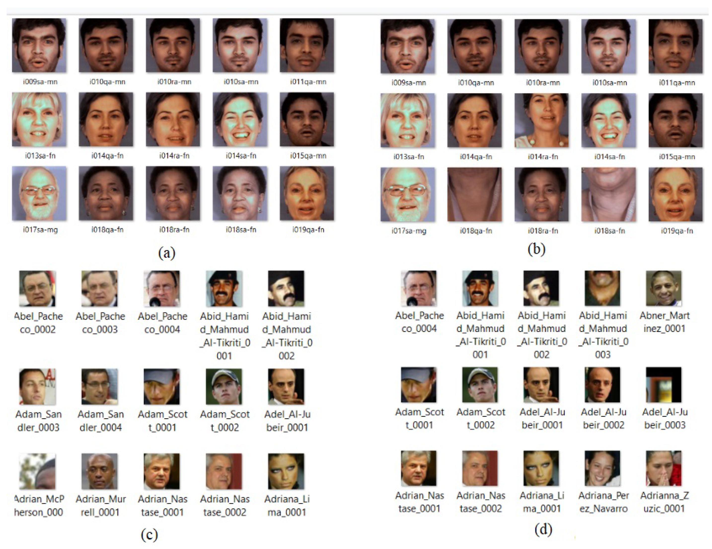 Electronics 10 00102 g010