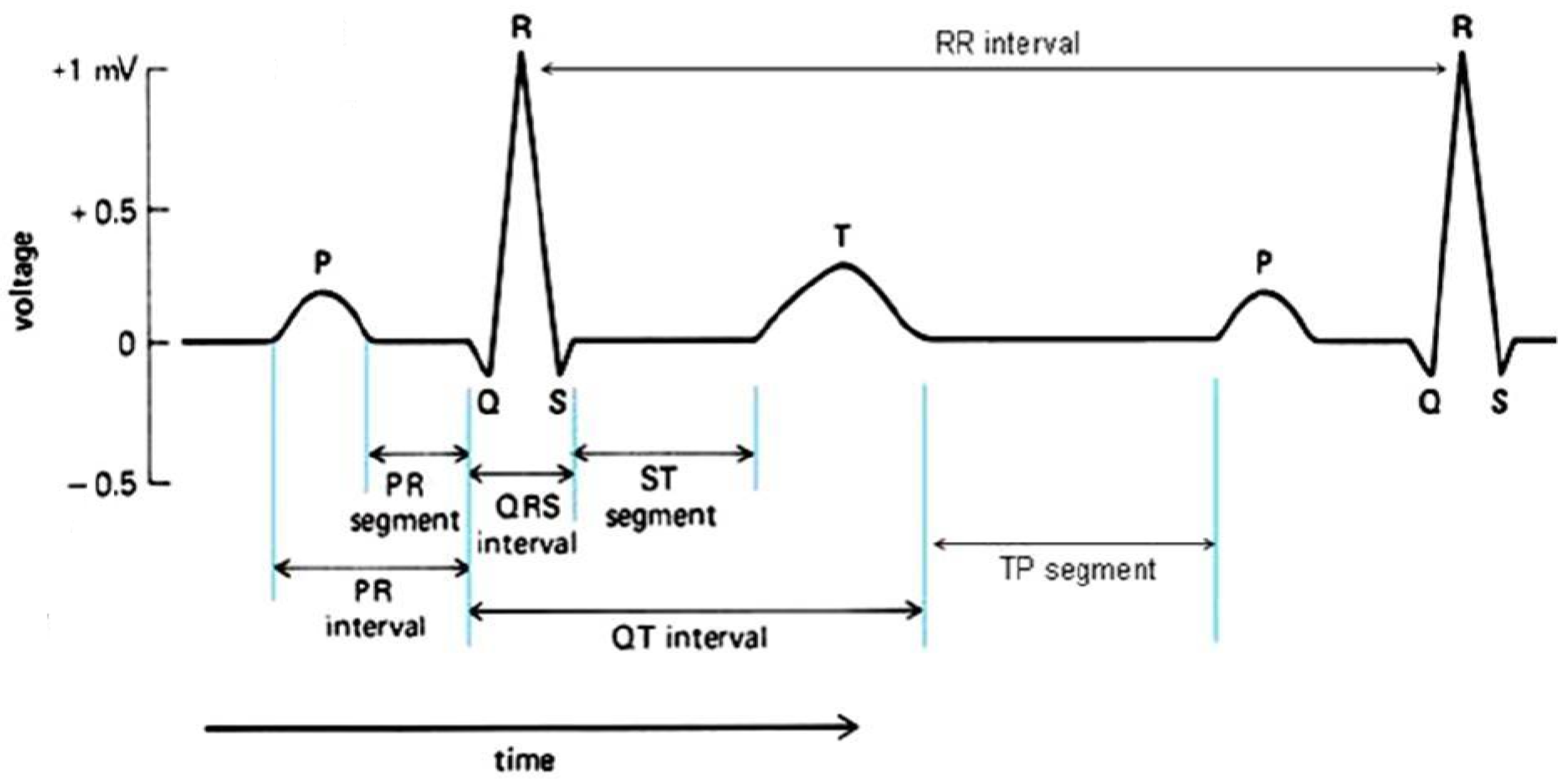 Electronics 10 00170 g002 Electronics 10 00170 g002