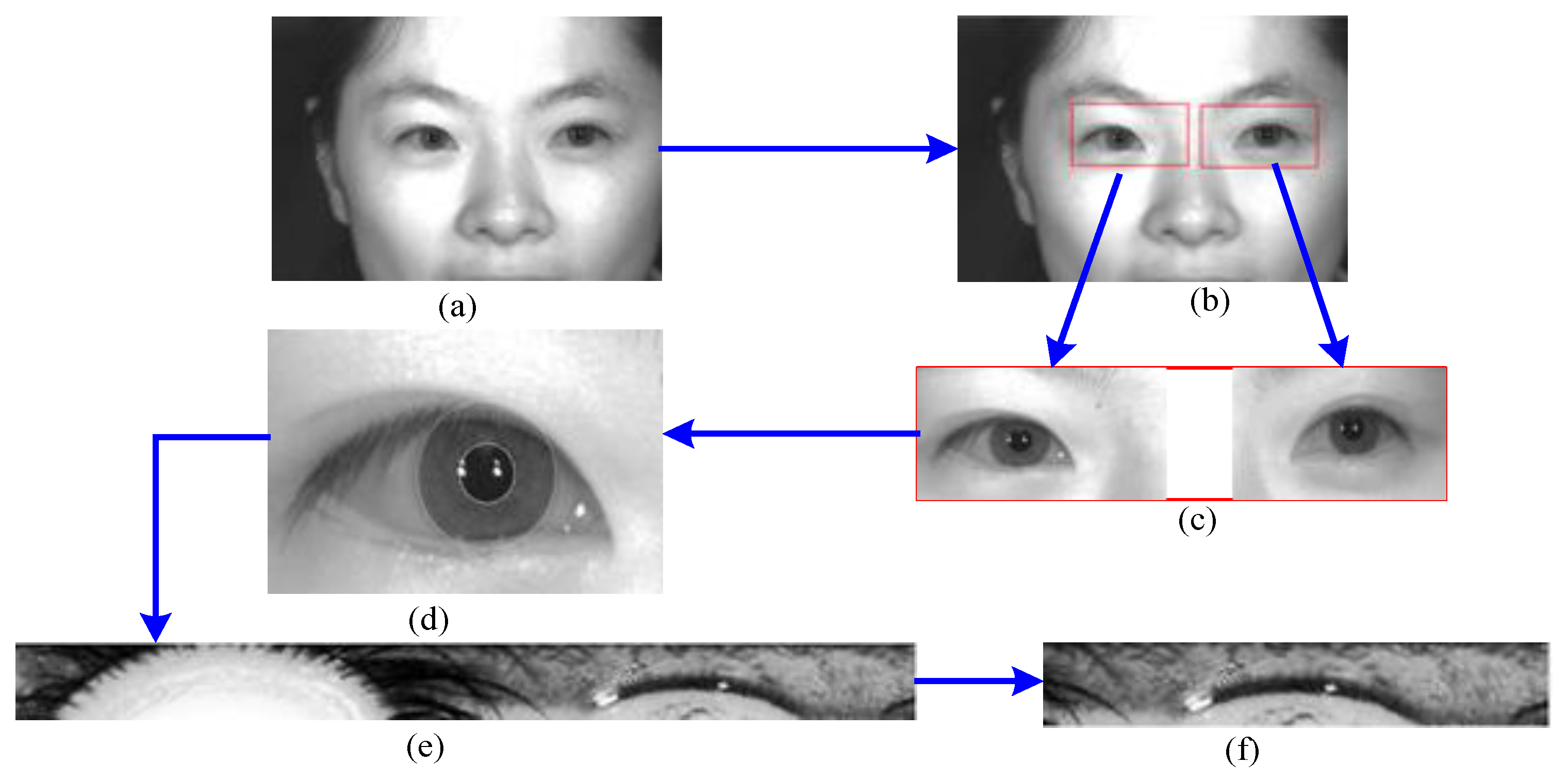 Electronics 10 00217 g002 Electronics 10 00217 g002