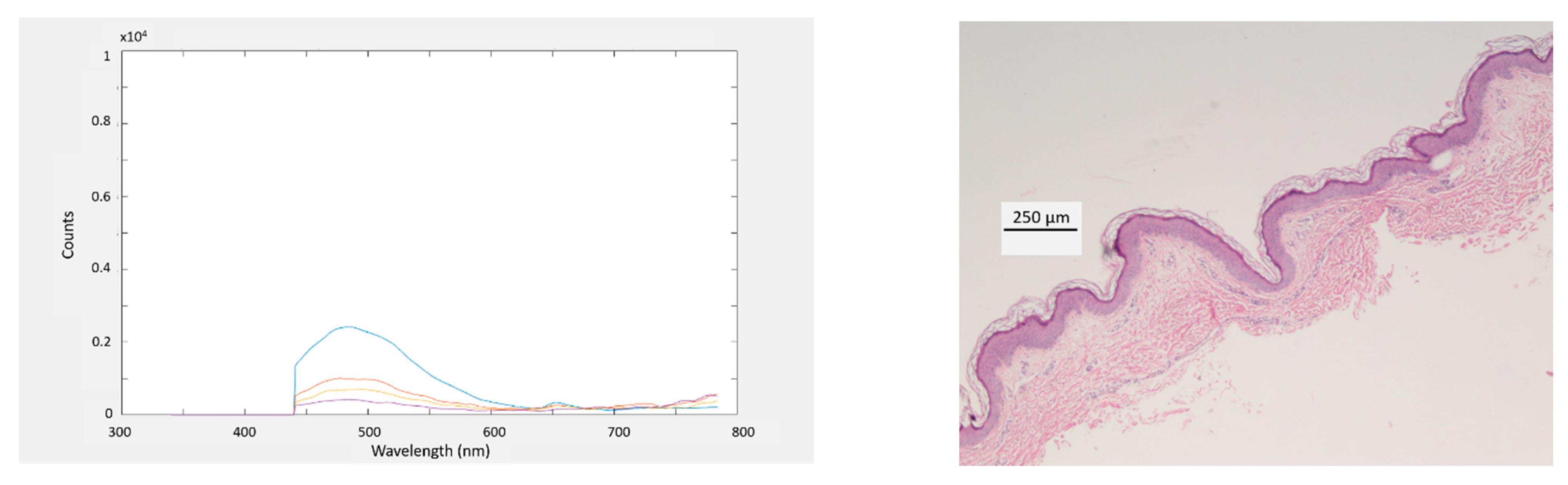 Electronics 10 00243 g010b Electronics 10 00243 g010b