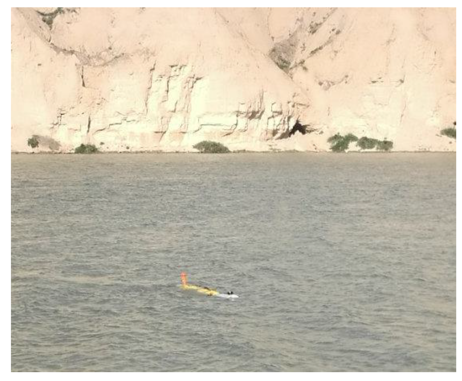 Electronics 10 00292 g011