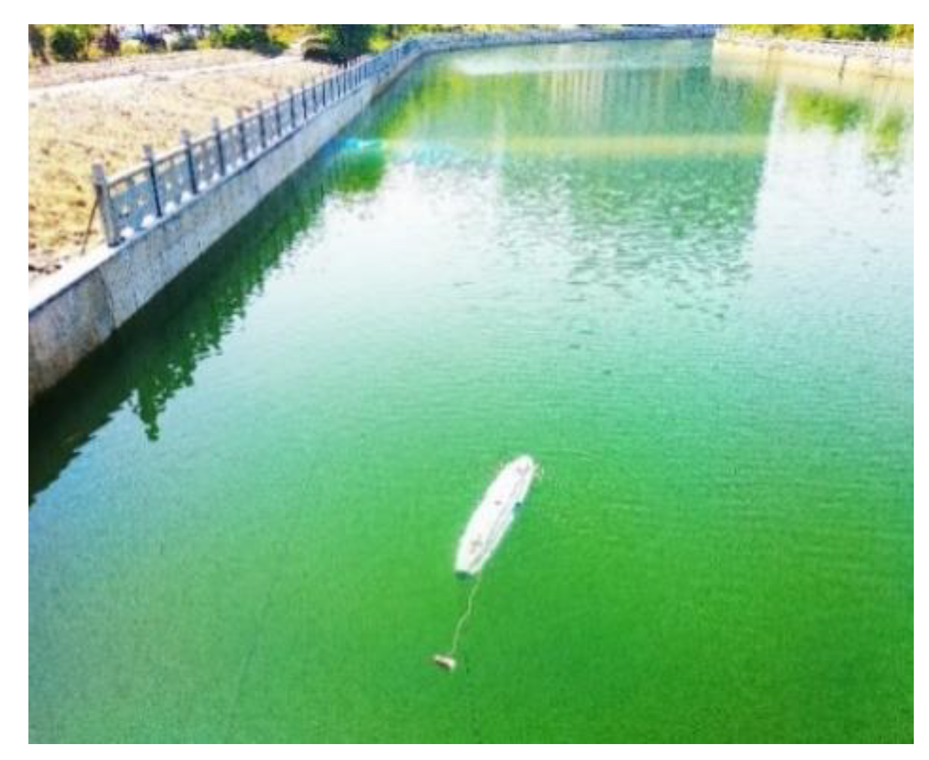 Electronics 10 00292 g013