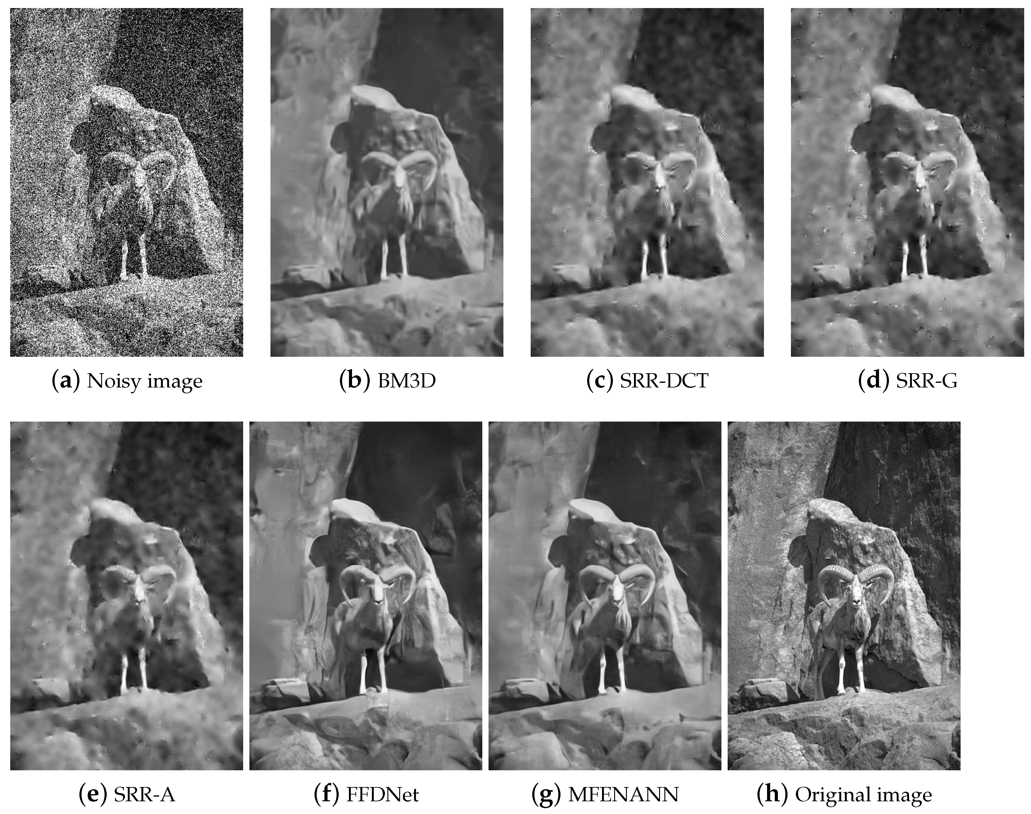 Electronics 10 00319 g007