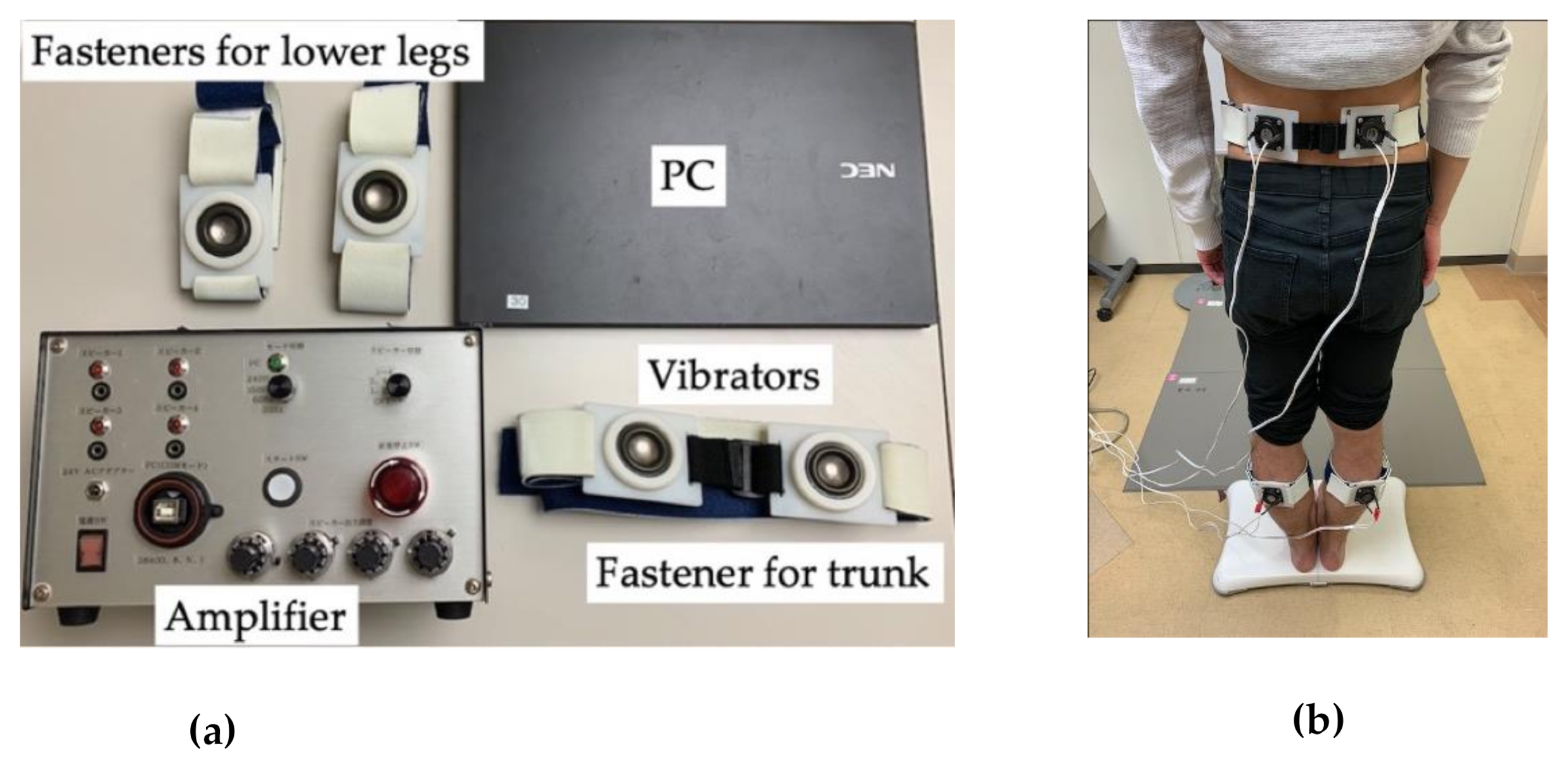 Electronics 10 00341 g001