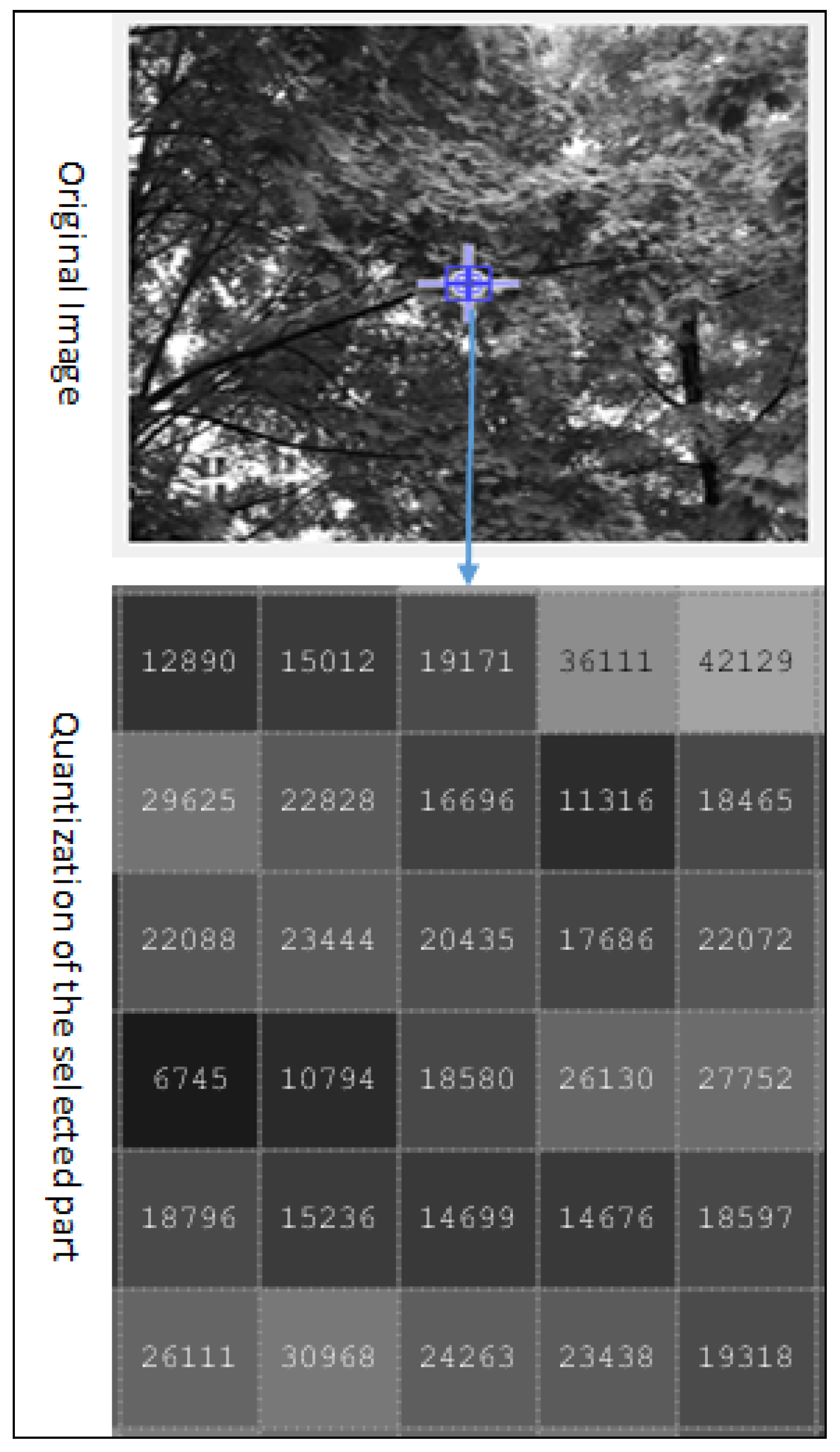 Electronics 10 00360 g003 Electronics 10 00360 g003