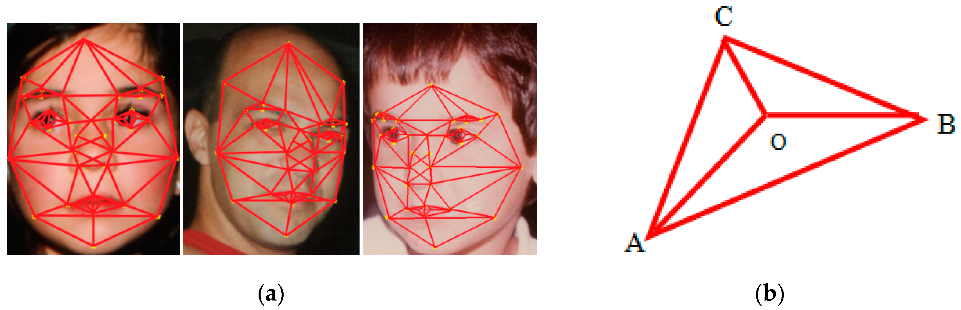 Electronics 10 00465 g004