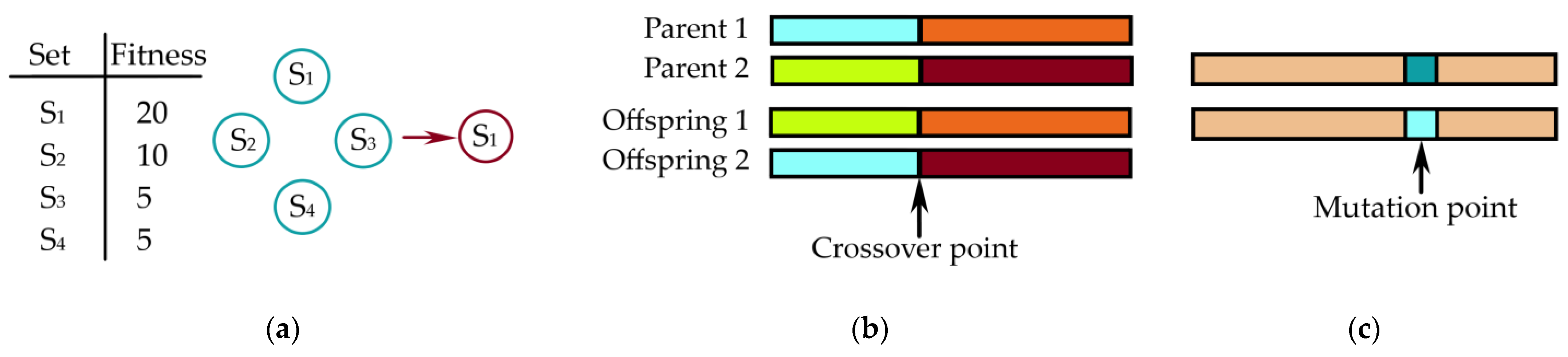 Electronics 10 00494 g004