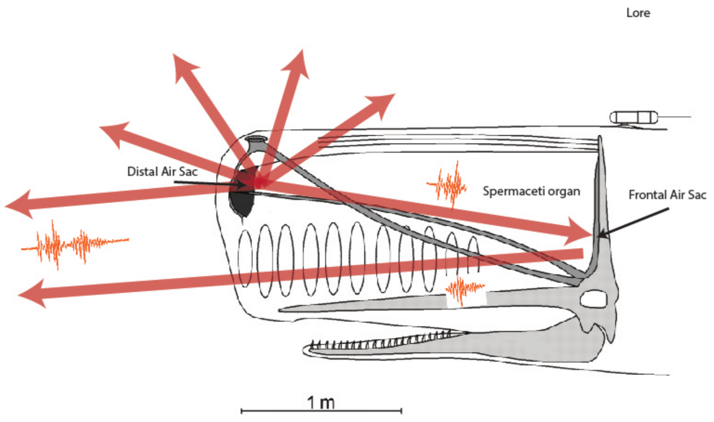 Electronics 10 00819 g001 Electronics 10 00819 g001