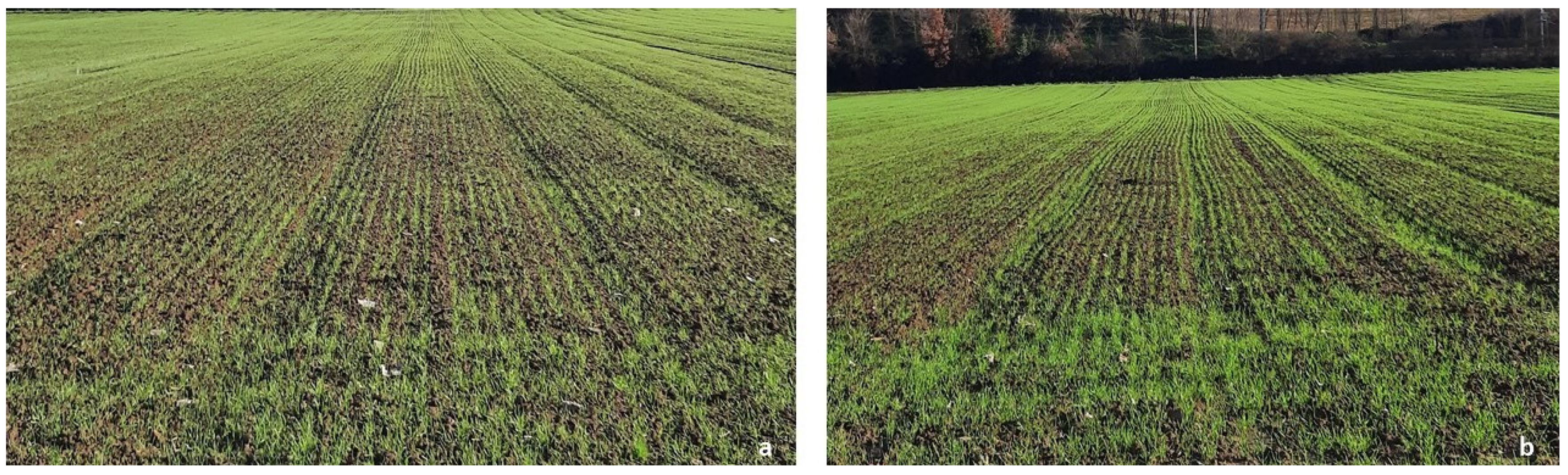 Electronics 10 00825 g002 Electronics 10 00825 g002