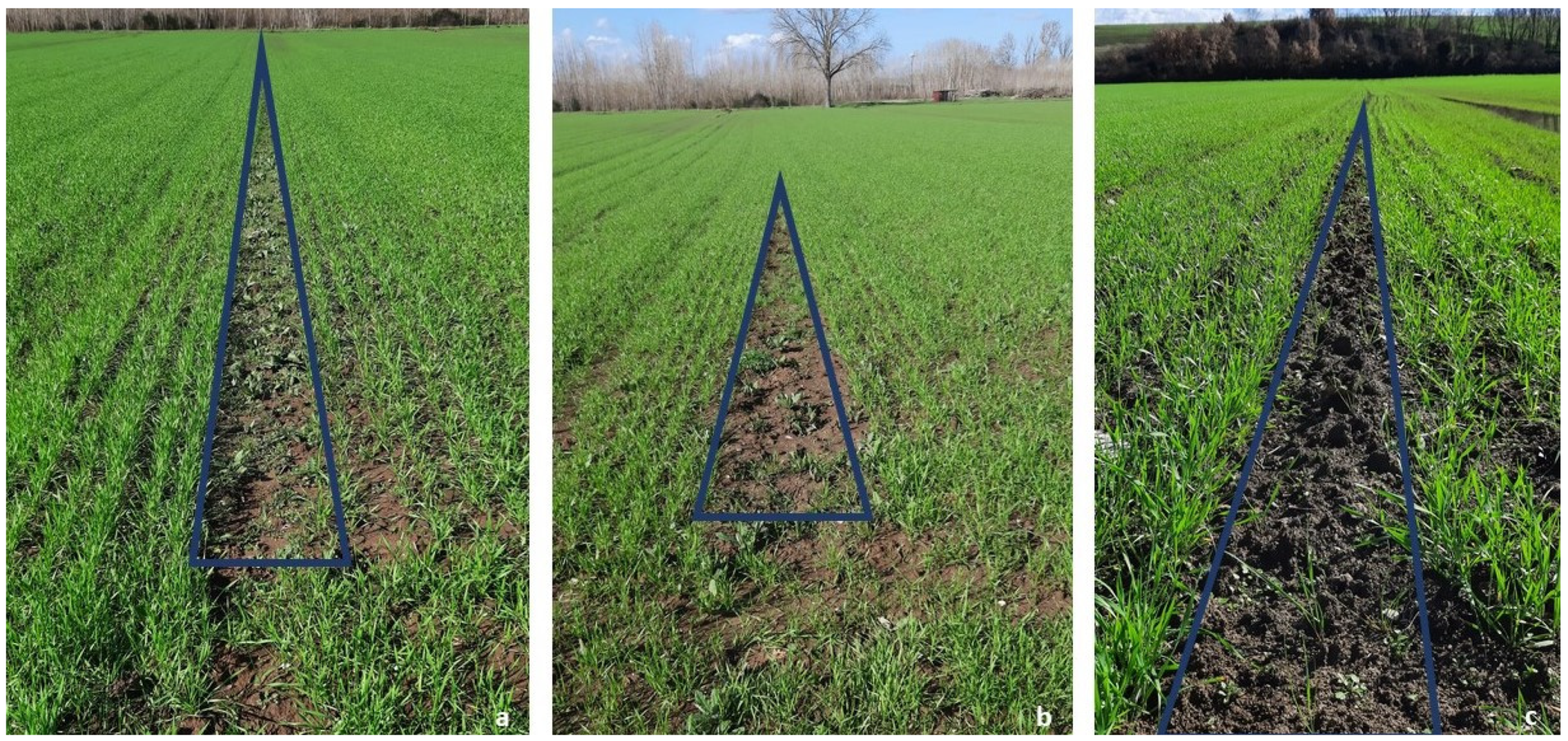 Electronics 10 00825 g003 Electronics 10 00825 g003