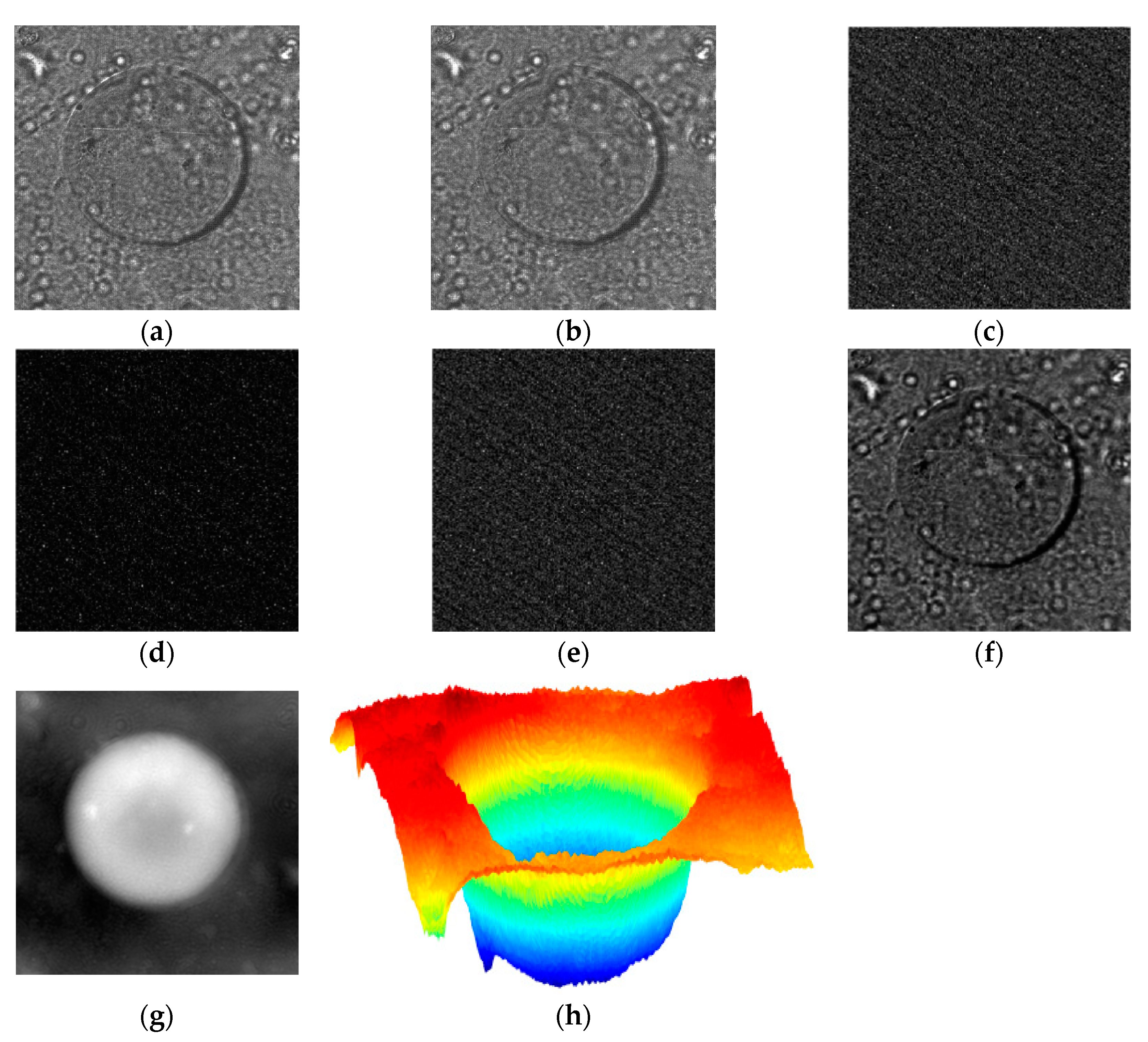 Electronics 10 00969 g005