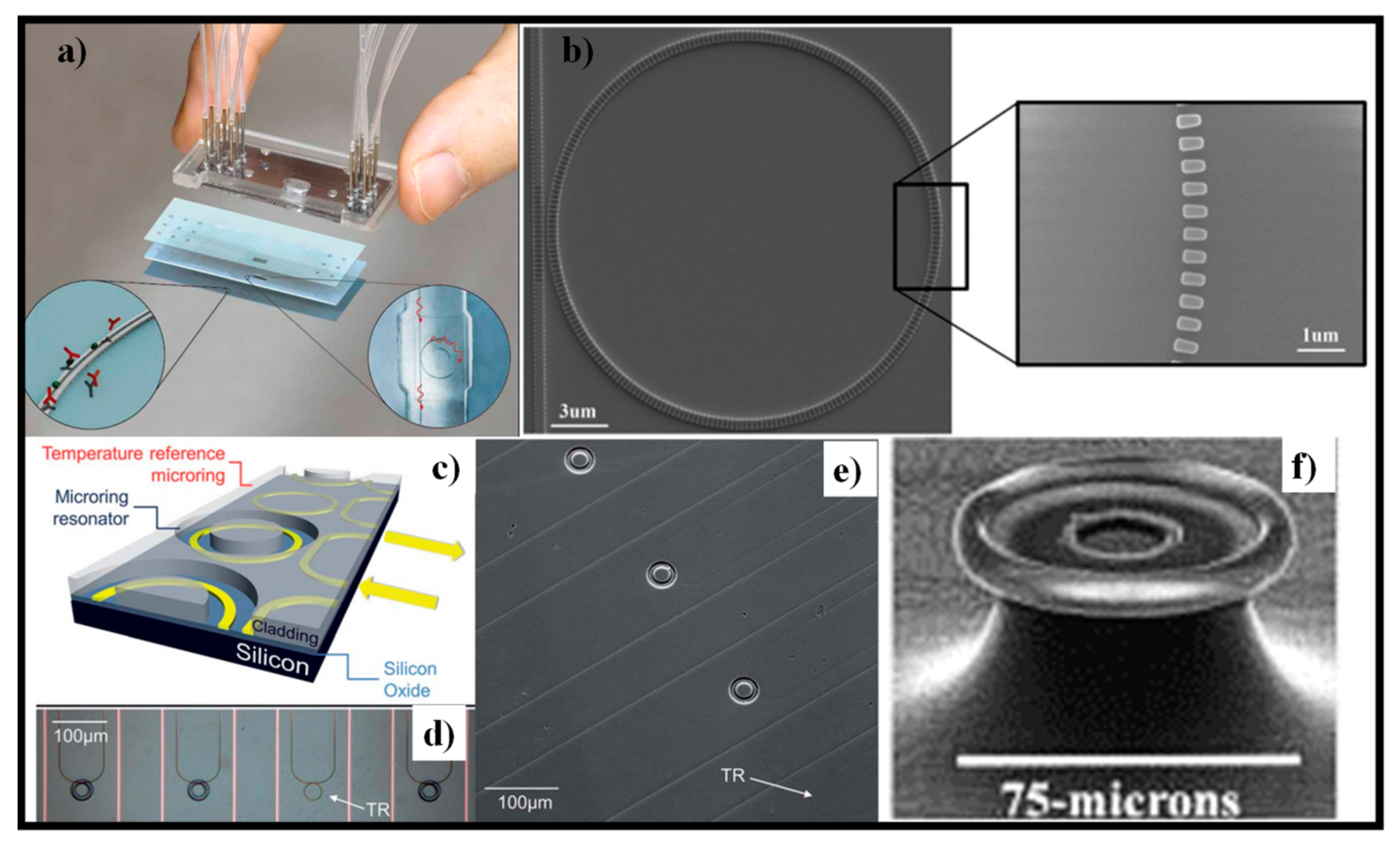 Electronics 10 00973 g003