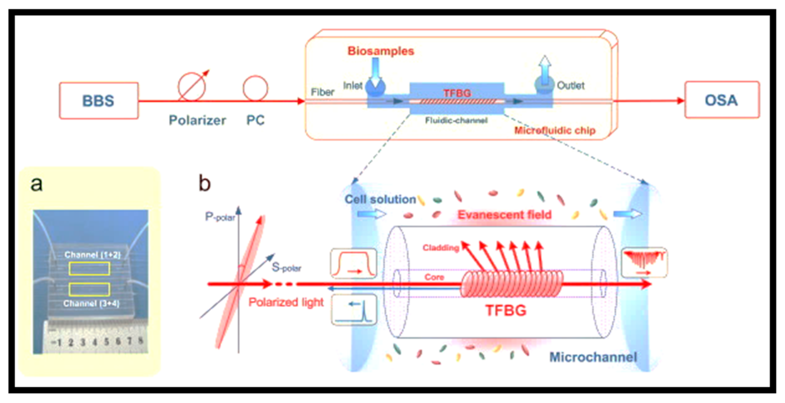 Electronics 10 00973 g014