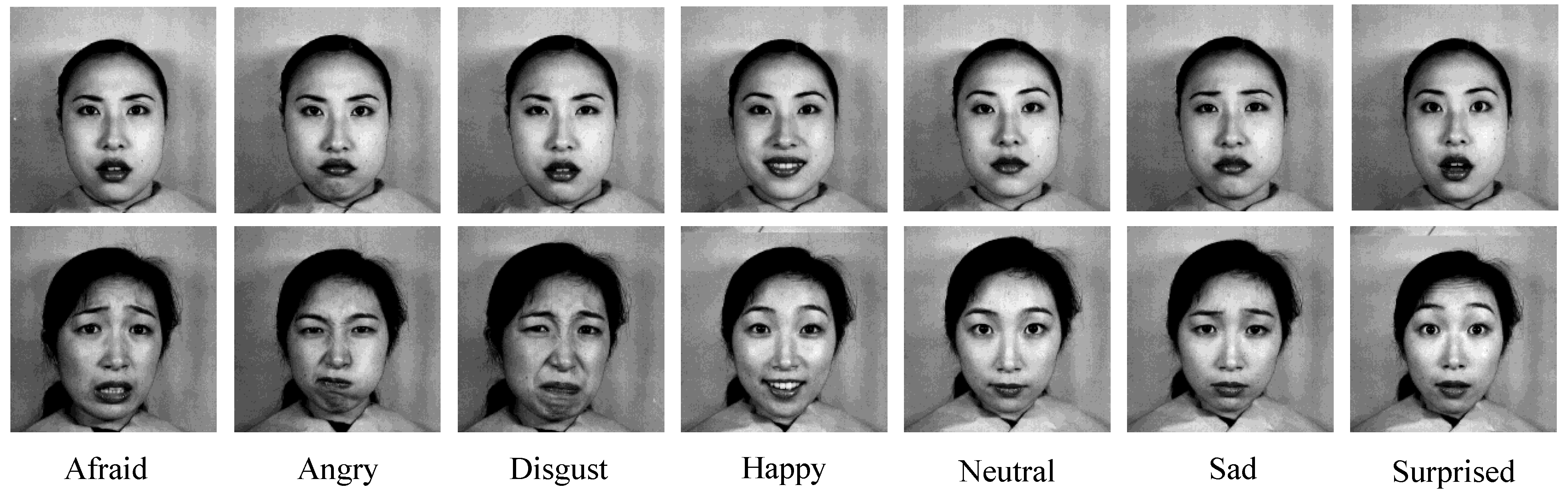 Facial Emotion Recognition Using Transfer Learning in the Deep CNN