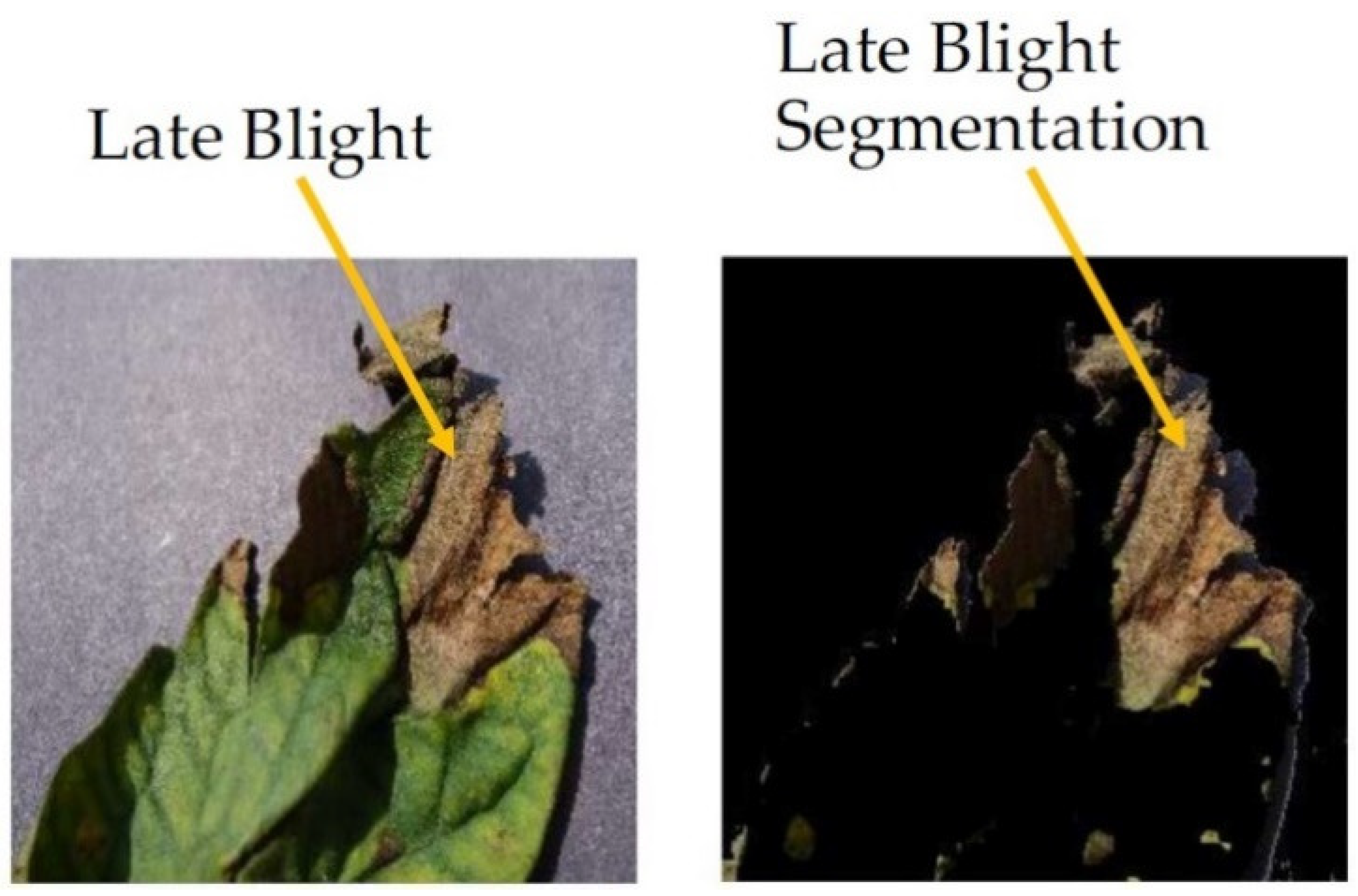 Electronics 10 01055 g006 Electronics 10 01055 g006