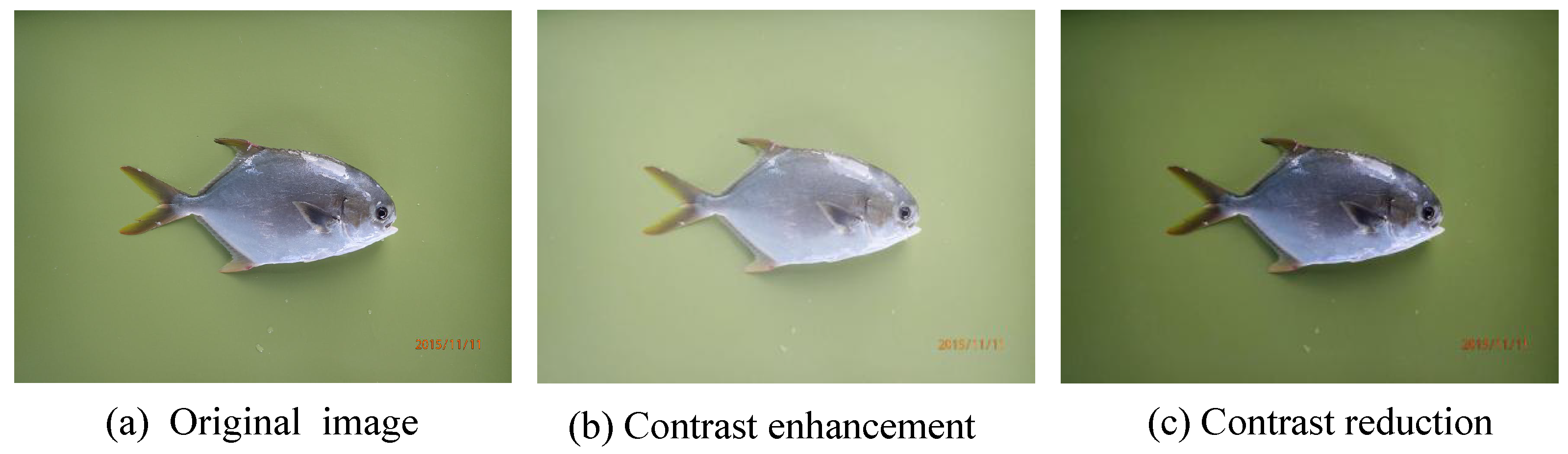 Electronics 10 01426 g004