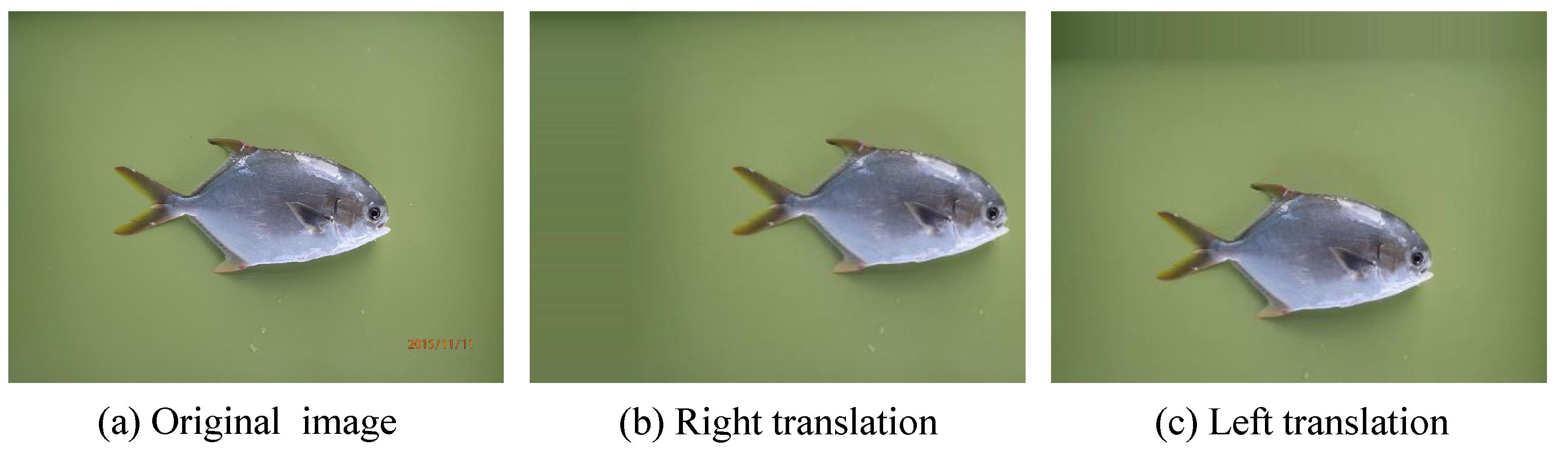 Electronics 10 01426 g006