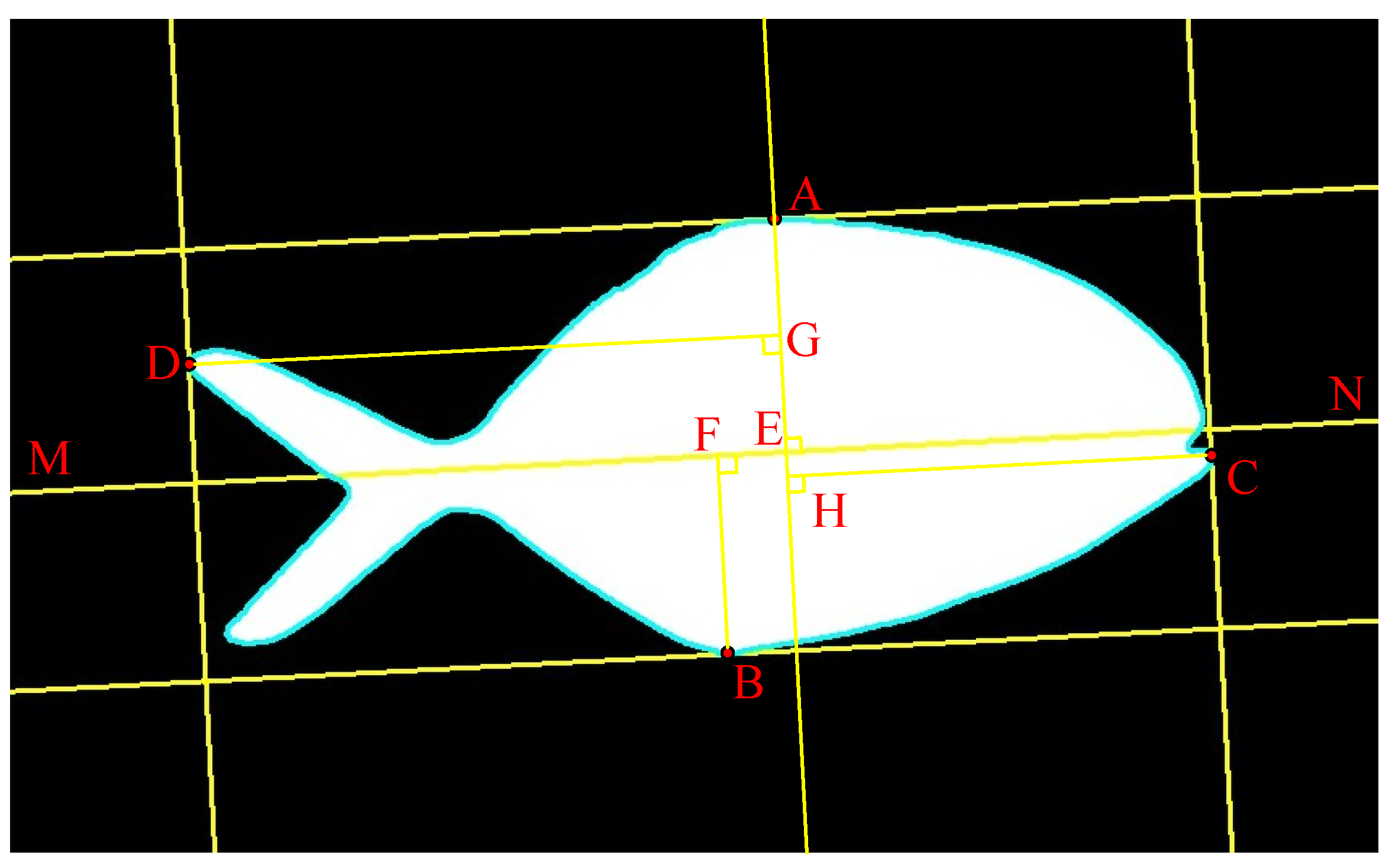 Electronics 10 01426 g013