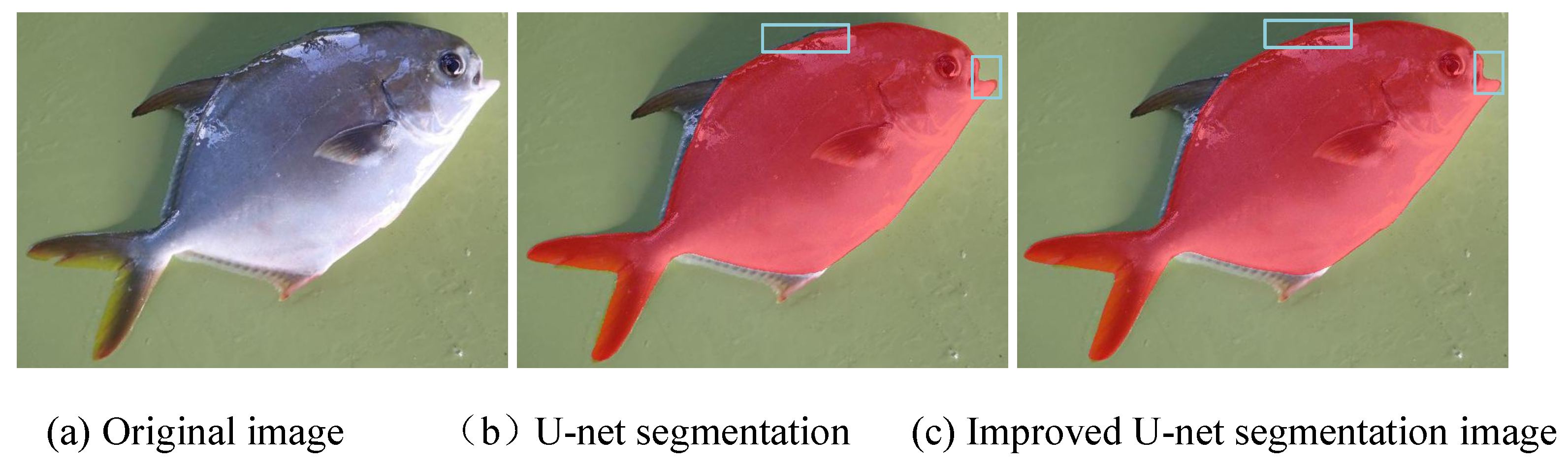 Electronics 10 01426 g015