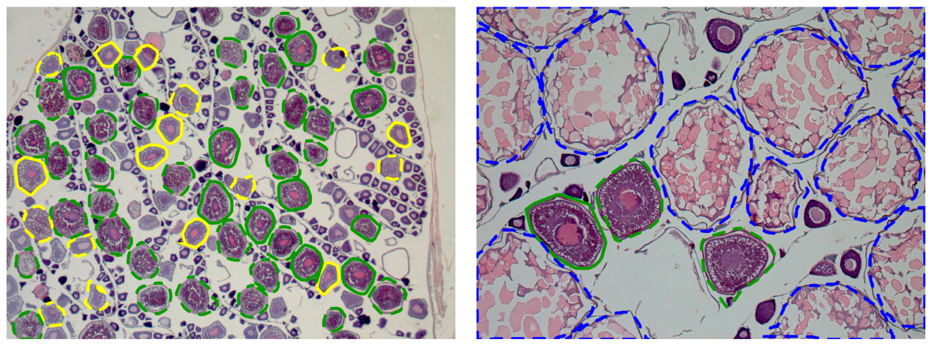 Electronics 10 01432 g003