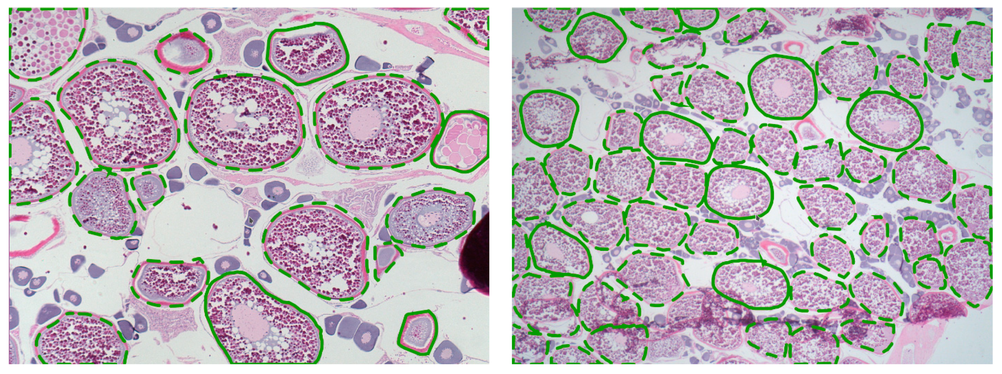 Electronics 10 01432 g006