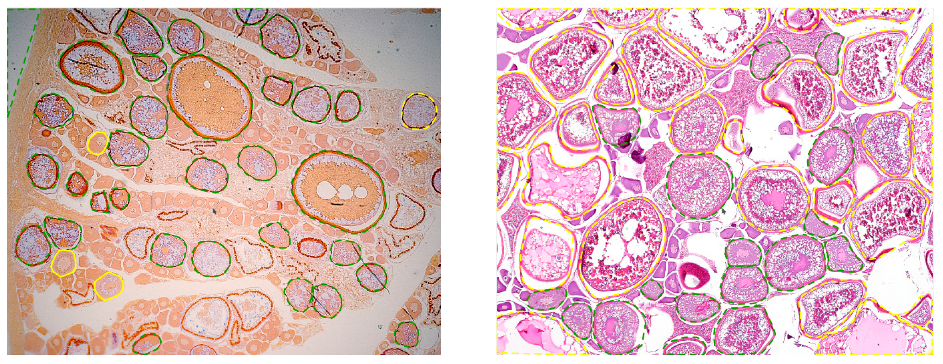 Electronics 10 01432 g007