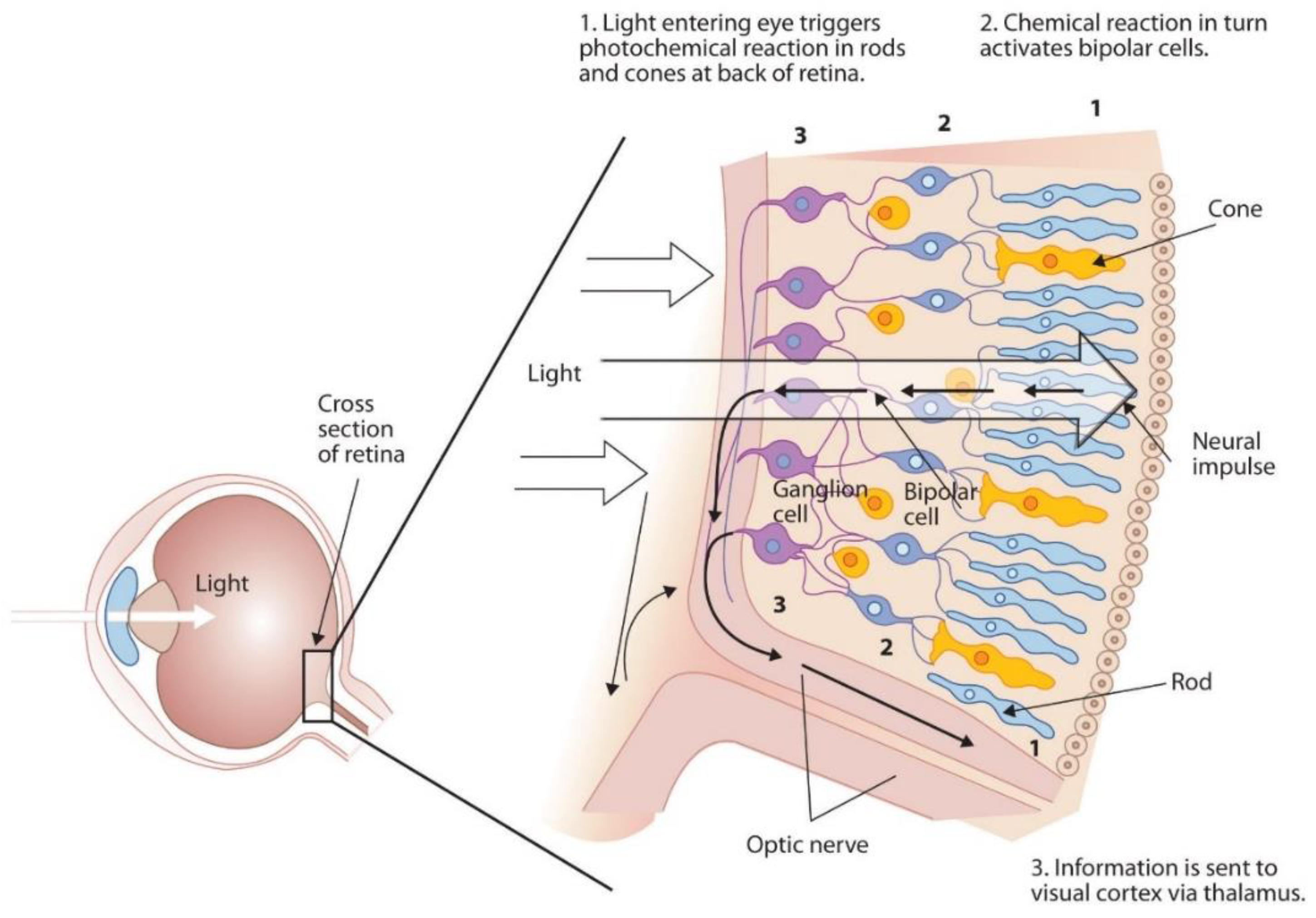 Electronics 10 01443 g002 Electronics 10 01443 g002