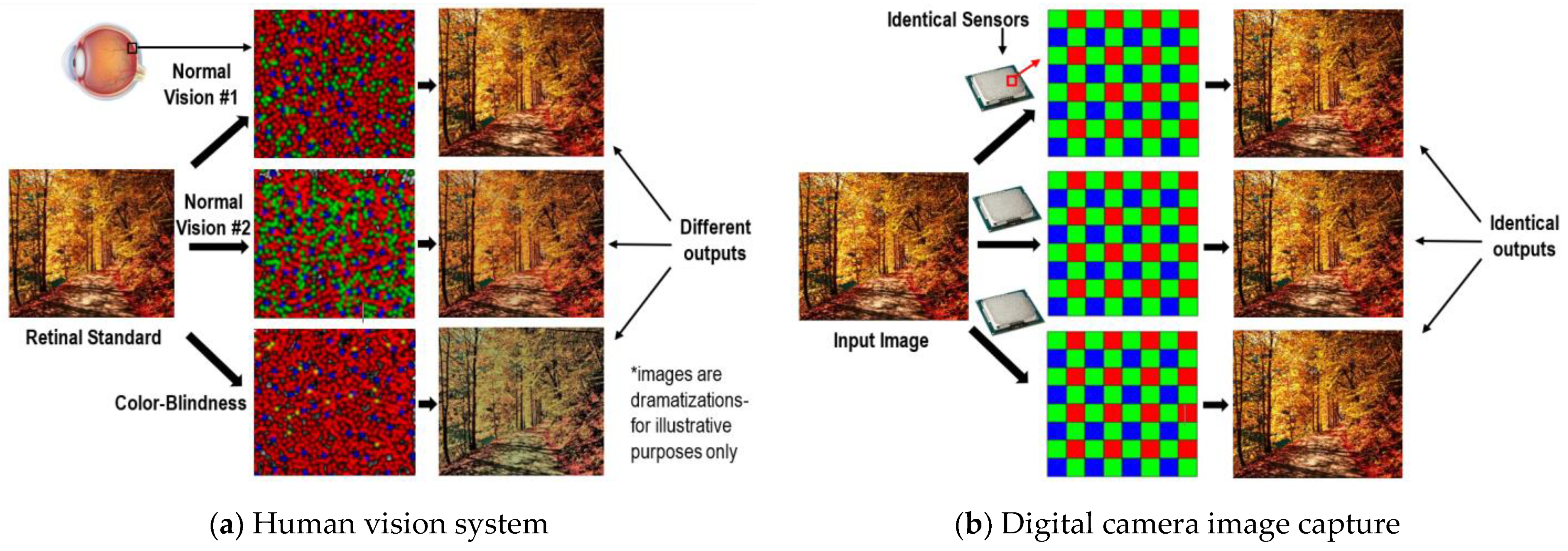 Electronics 10 01443 g003 Electronics 10 01443 g003