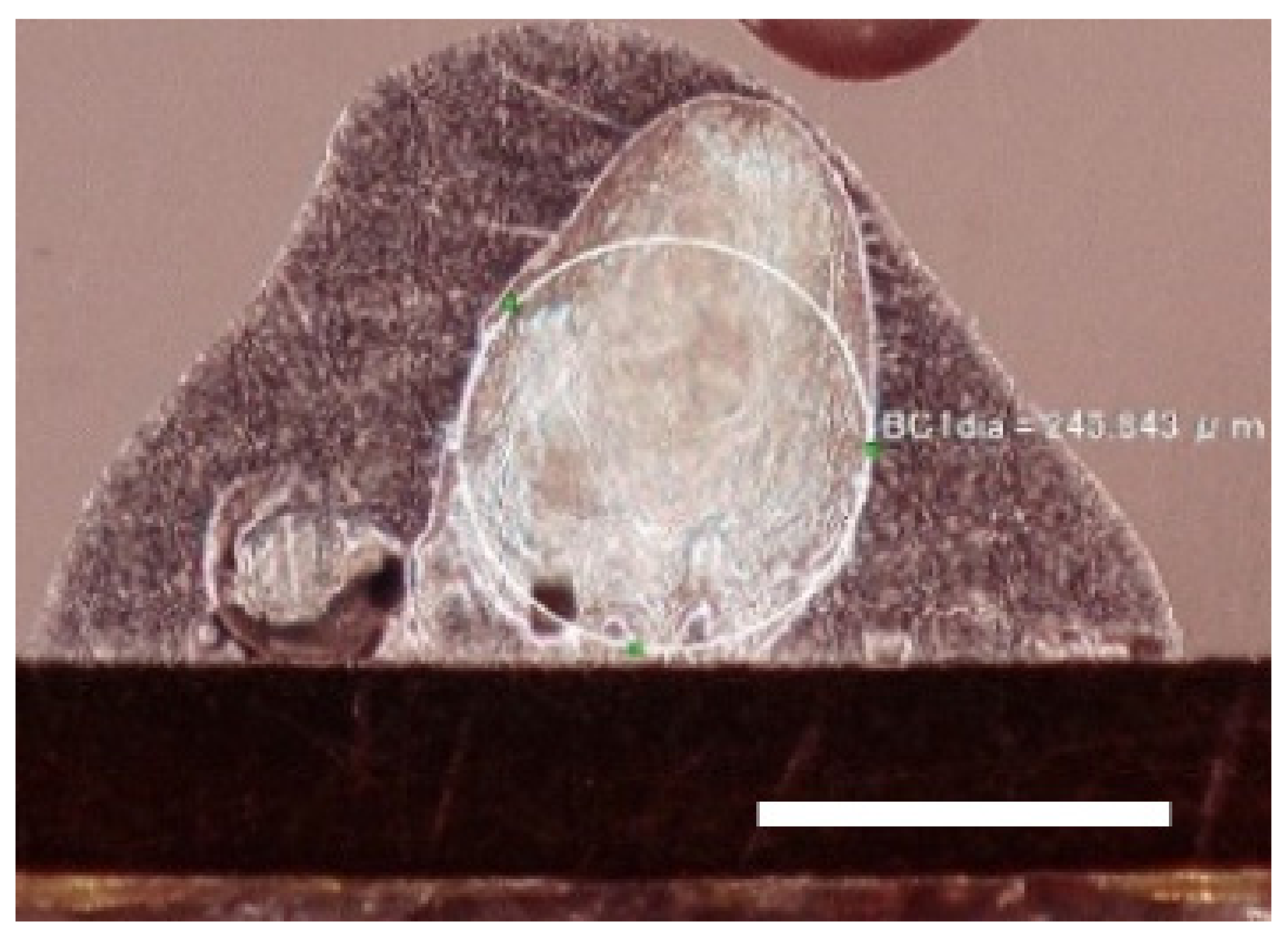 Electronics 10 01568 g009 550