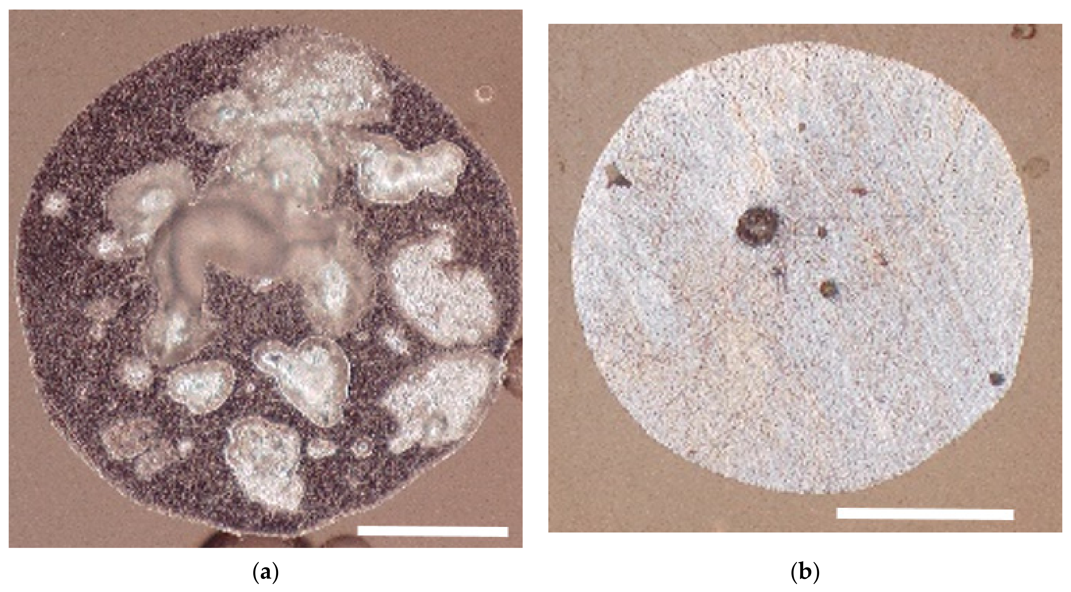 Electronics 10 01568 g011 550