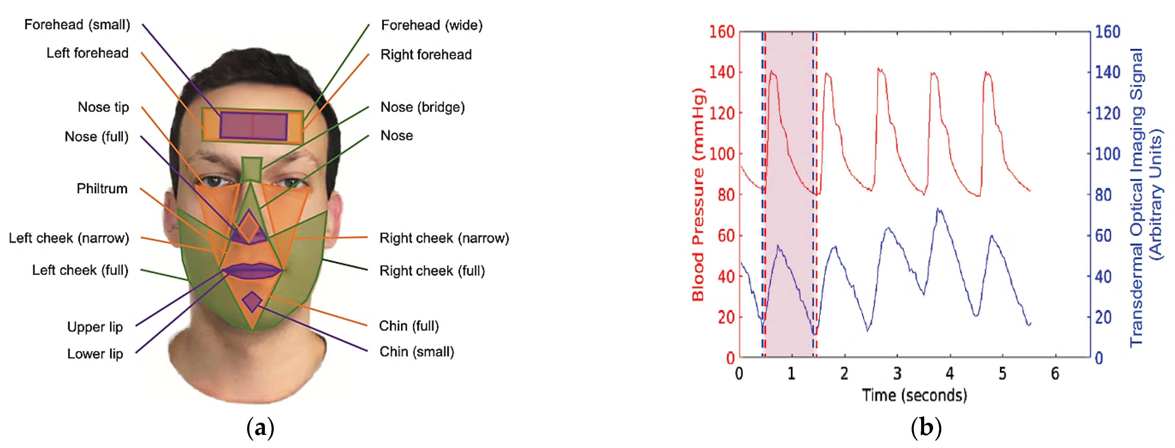 Electronics 10 01660 g003