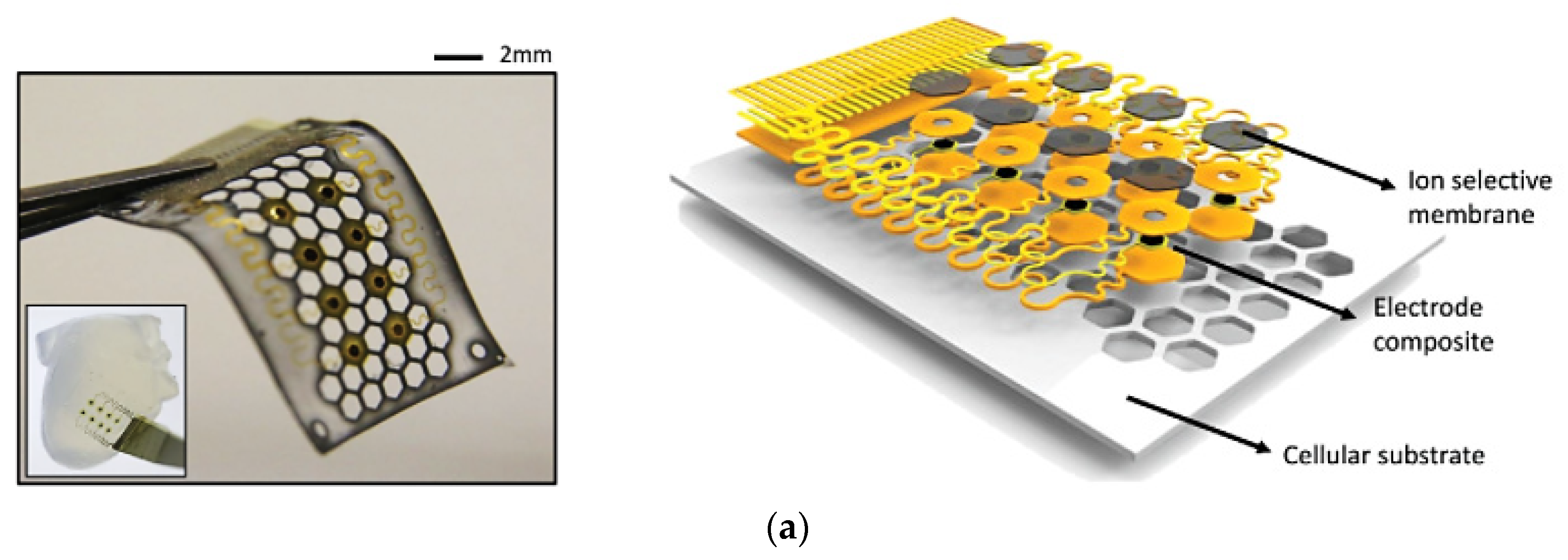 Electronics 10 01660 g018a