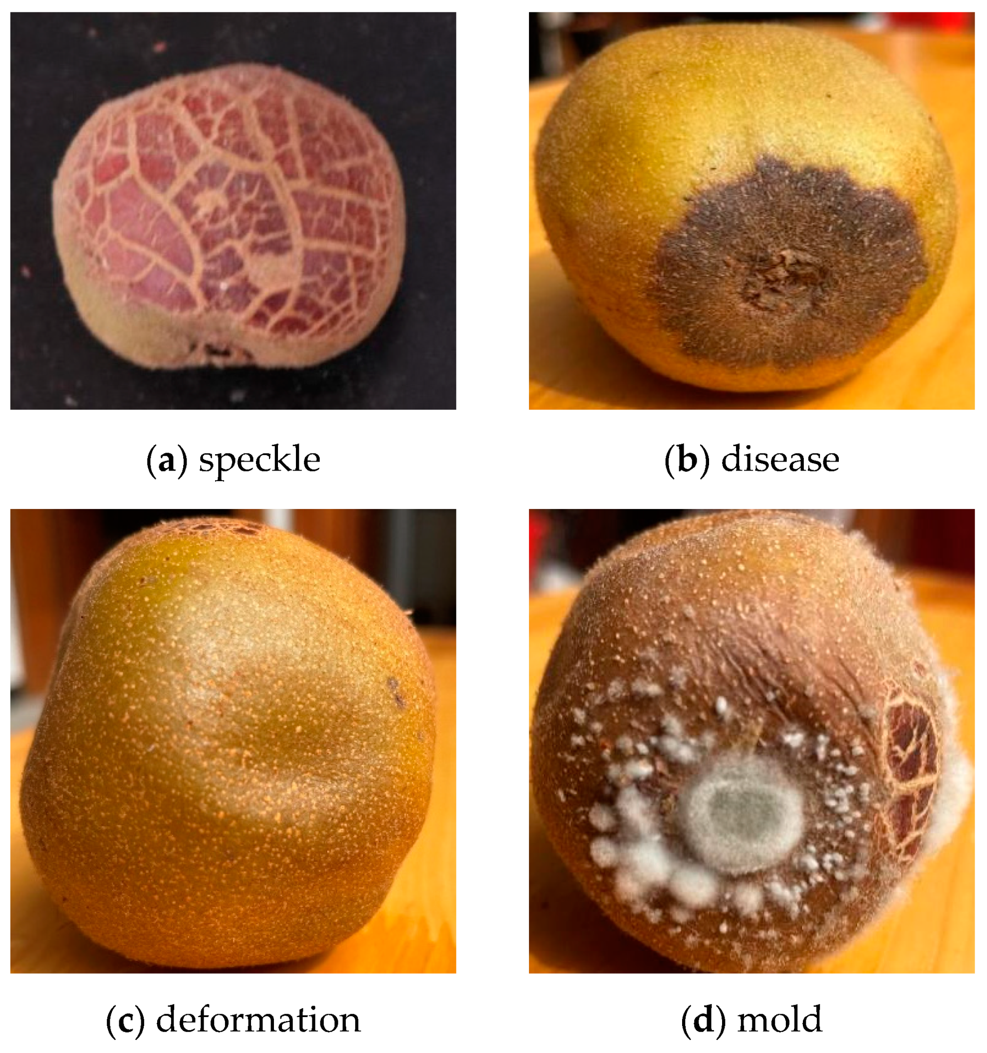 Electronics 10 01711 g006