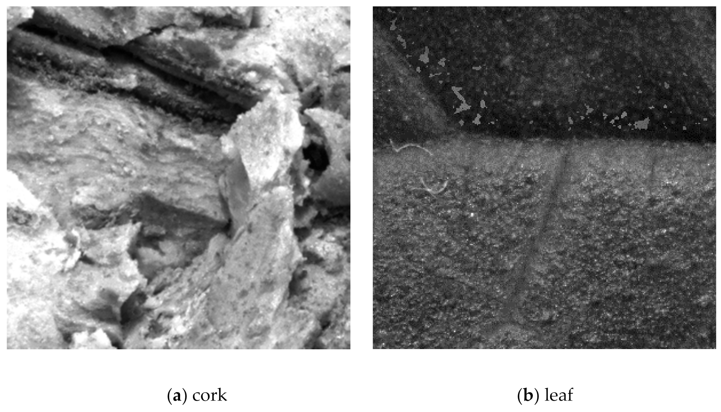 Electronics 10 01870 g010 550