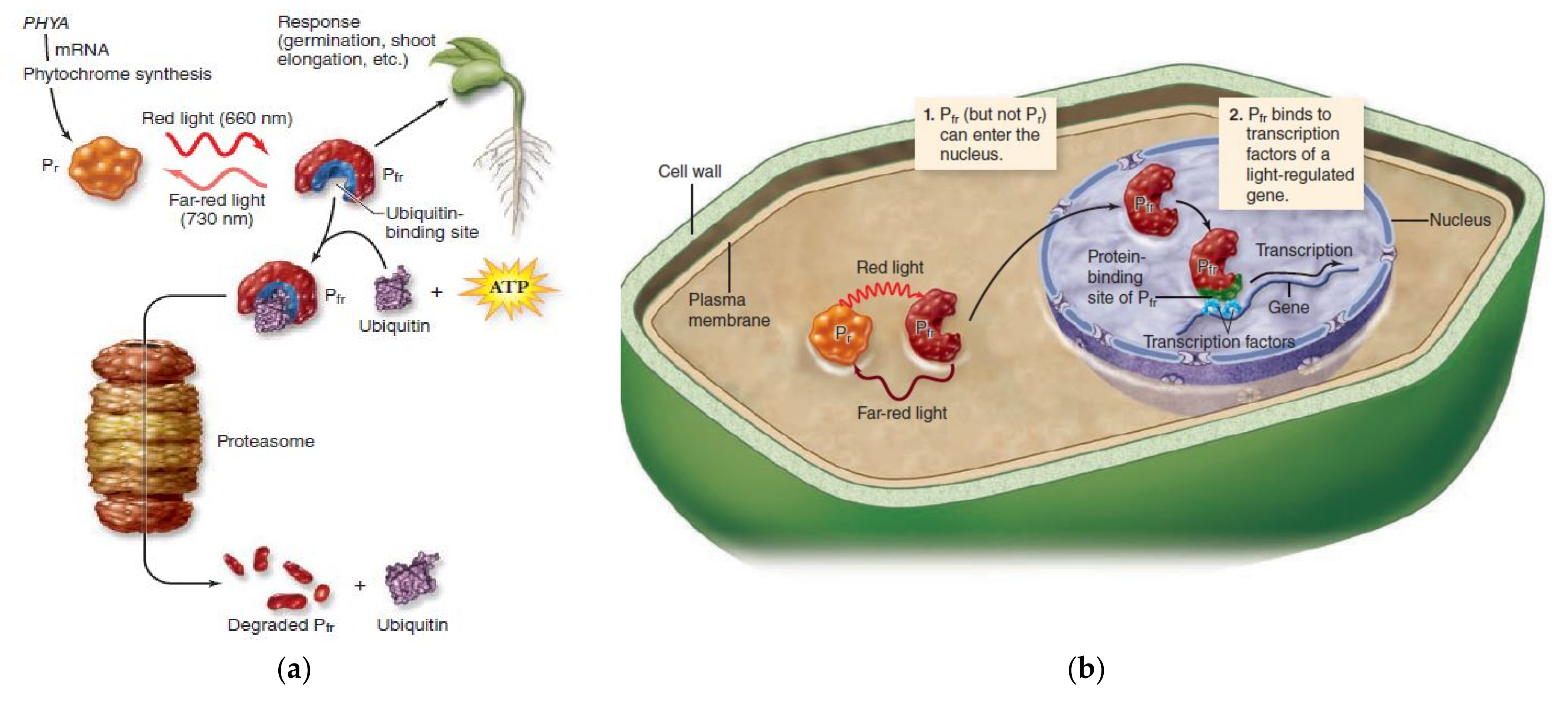 Electronics 10 01877 g001