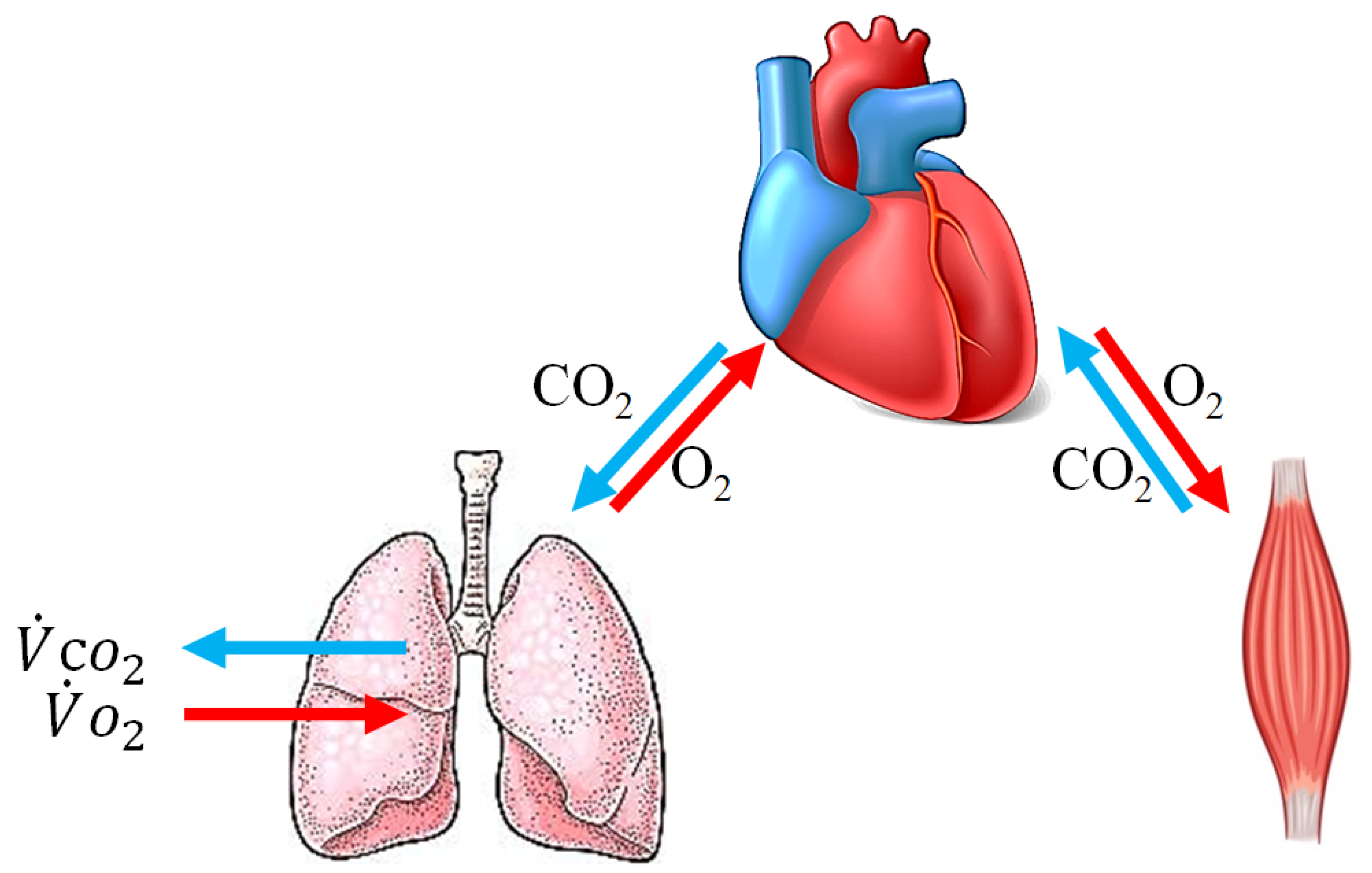Electronics 10 01956 g001