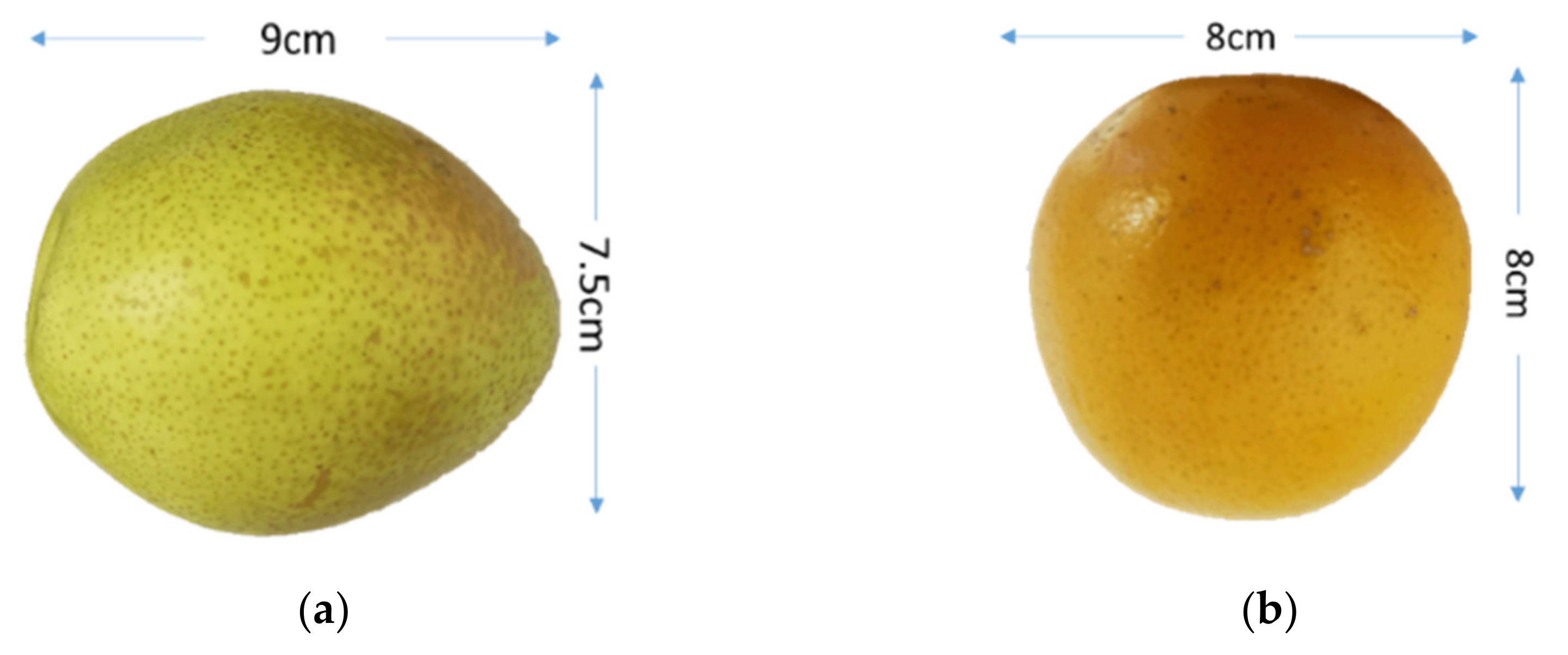 Electronics 10 02213 g009a 550