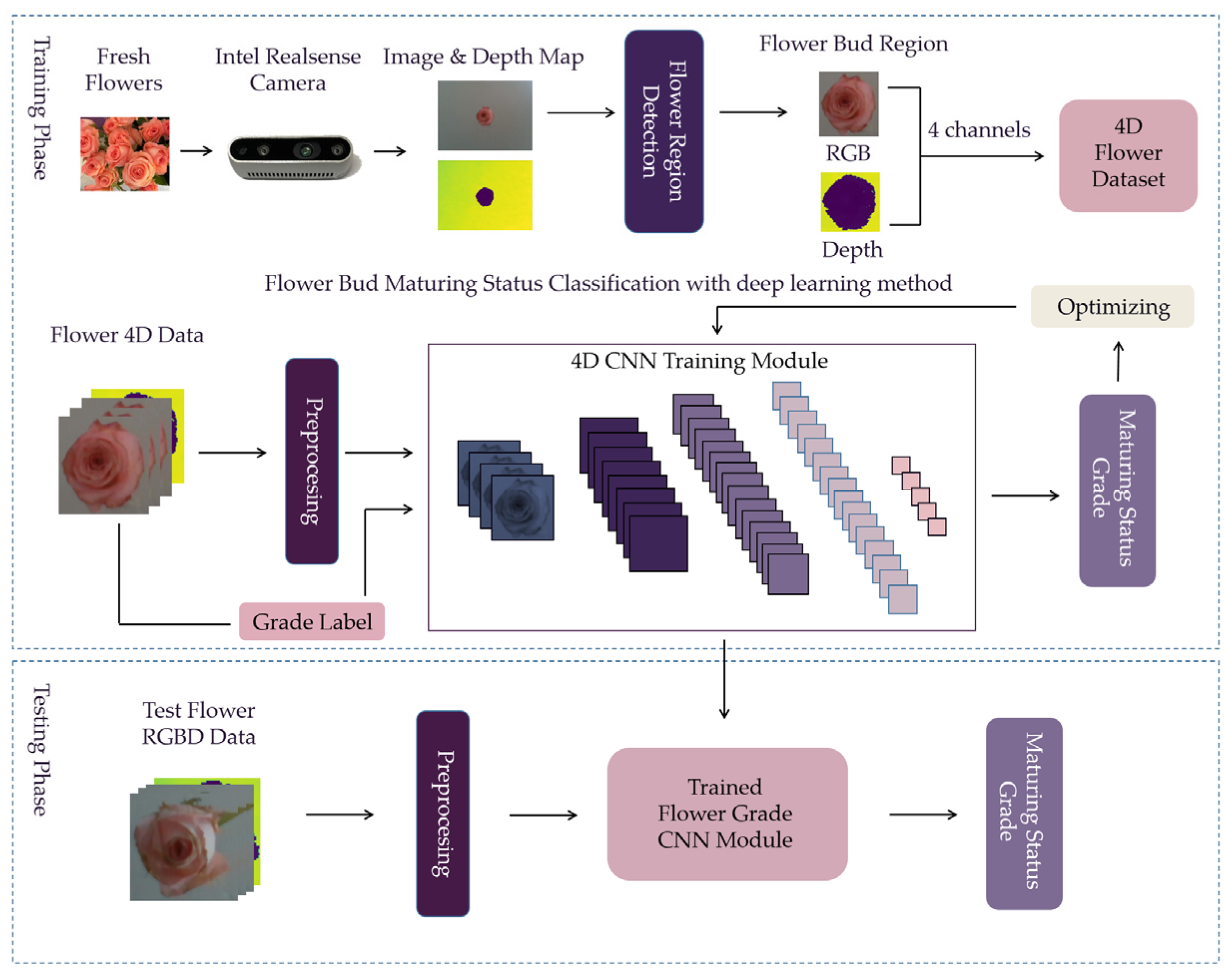 Four-Dimension Deep Learning Method for Flower Quality Grading with ...