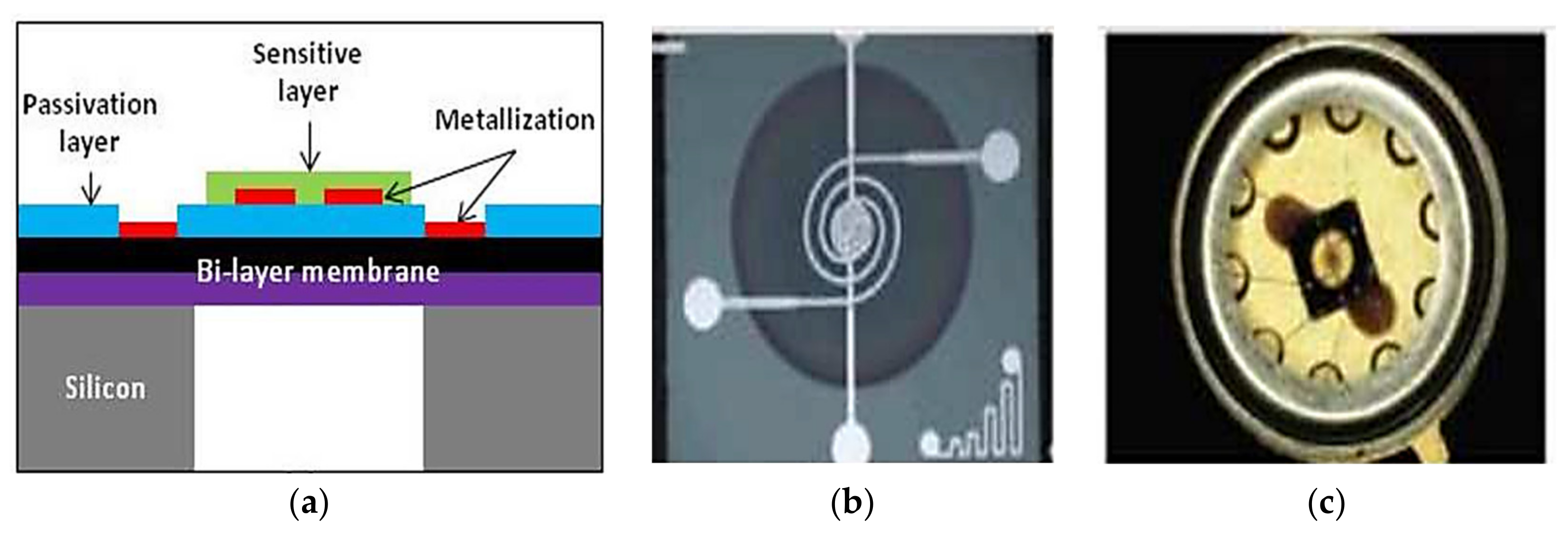 Electronics 10 02578 g002 Electronics 10 02578 g002