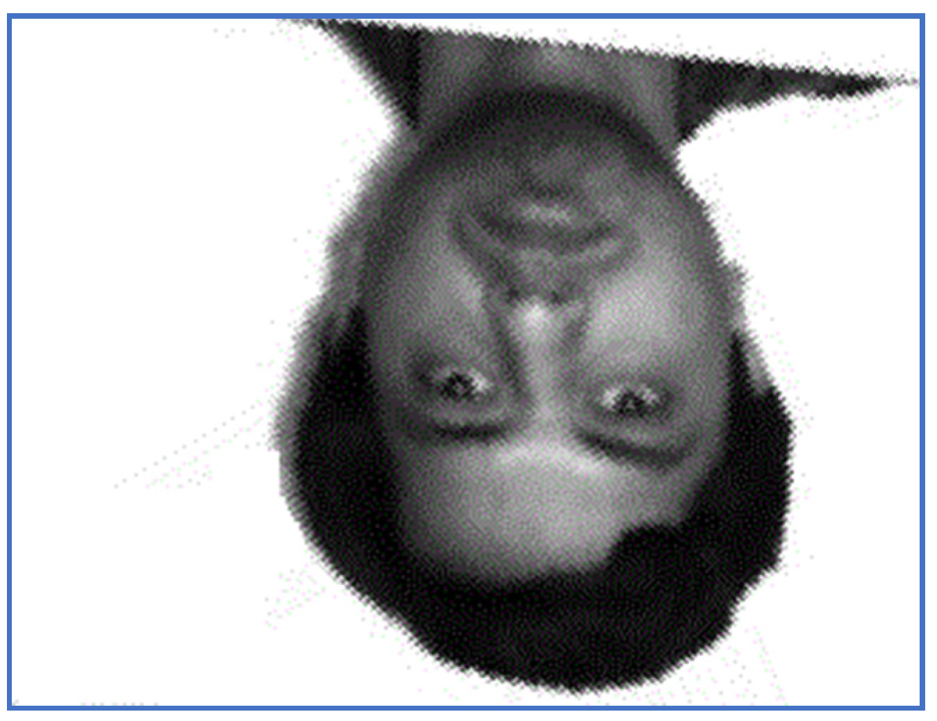 Electronics 10 02606 g018