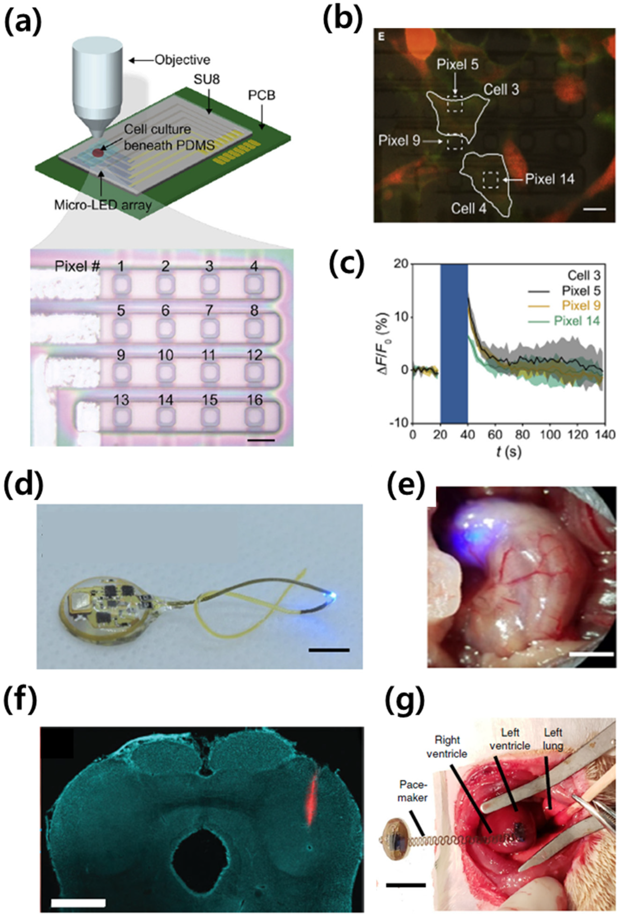 Electronics 10 02644 g007 550