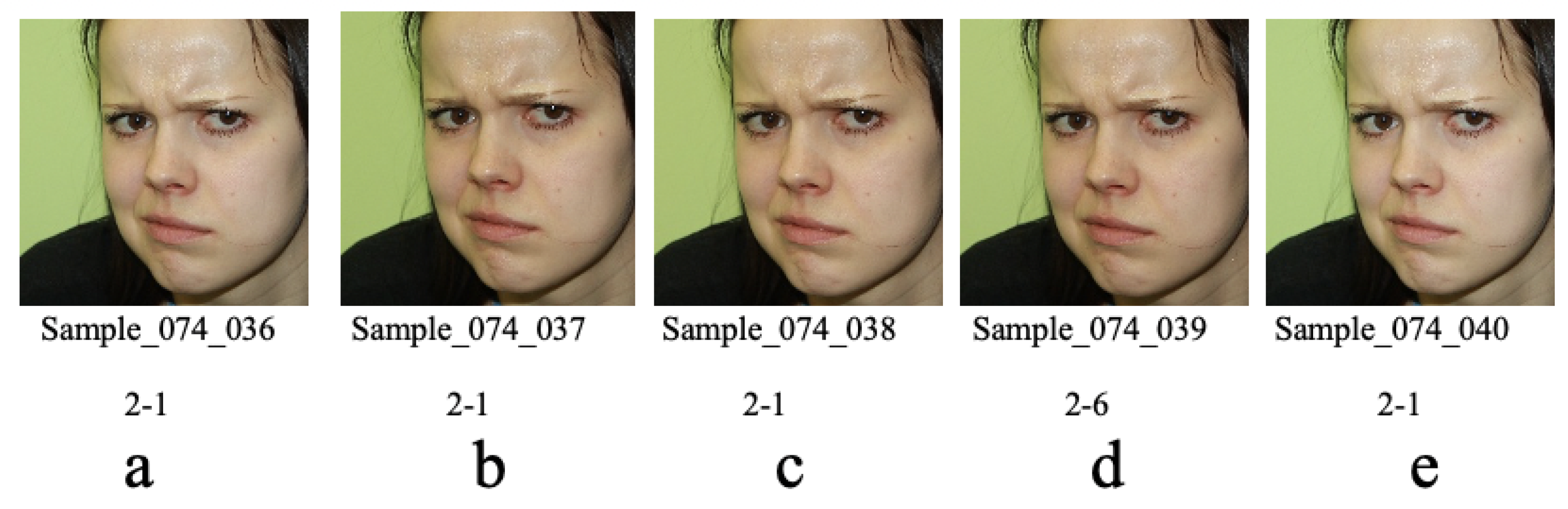 Electronics 10 02847 g007 550