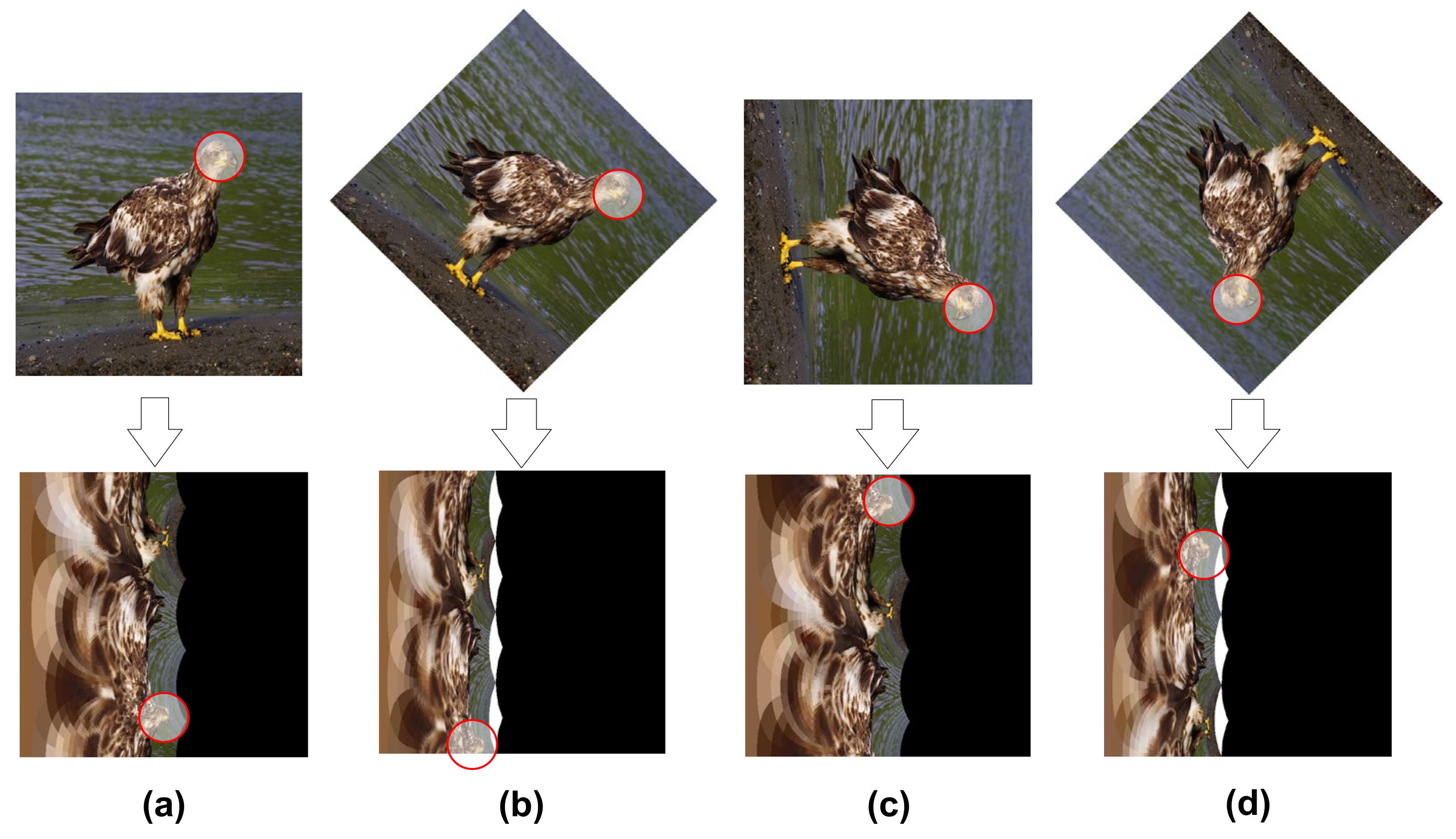 Electronics 10 02883 g001