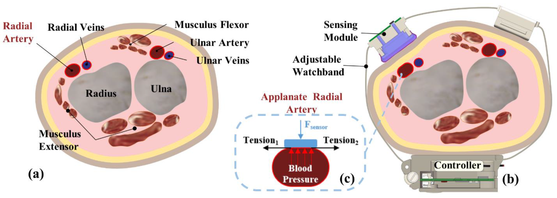 Electronics 10 02896 g002