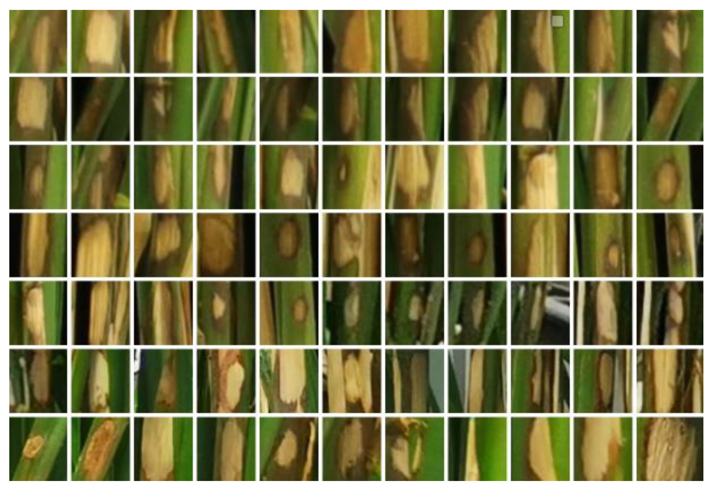 Electronics 10 02907 g003 550