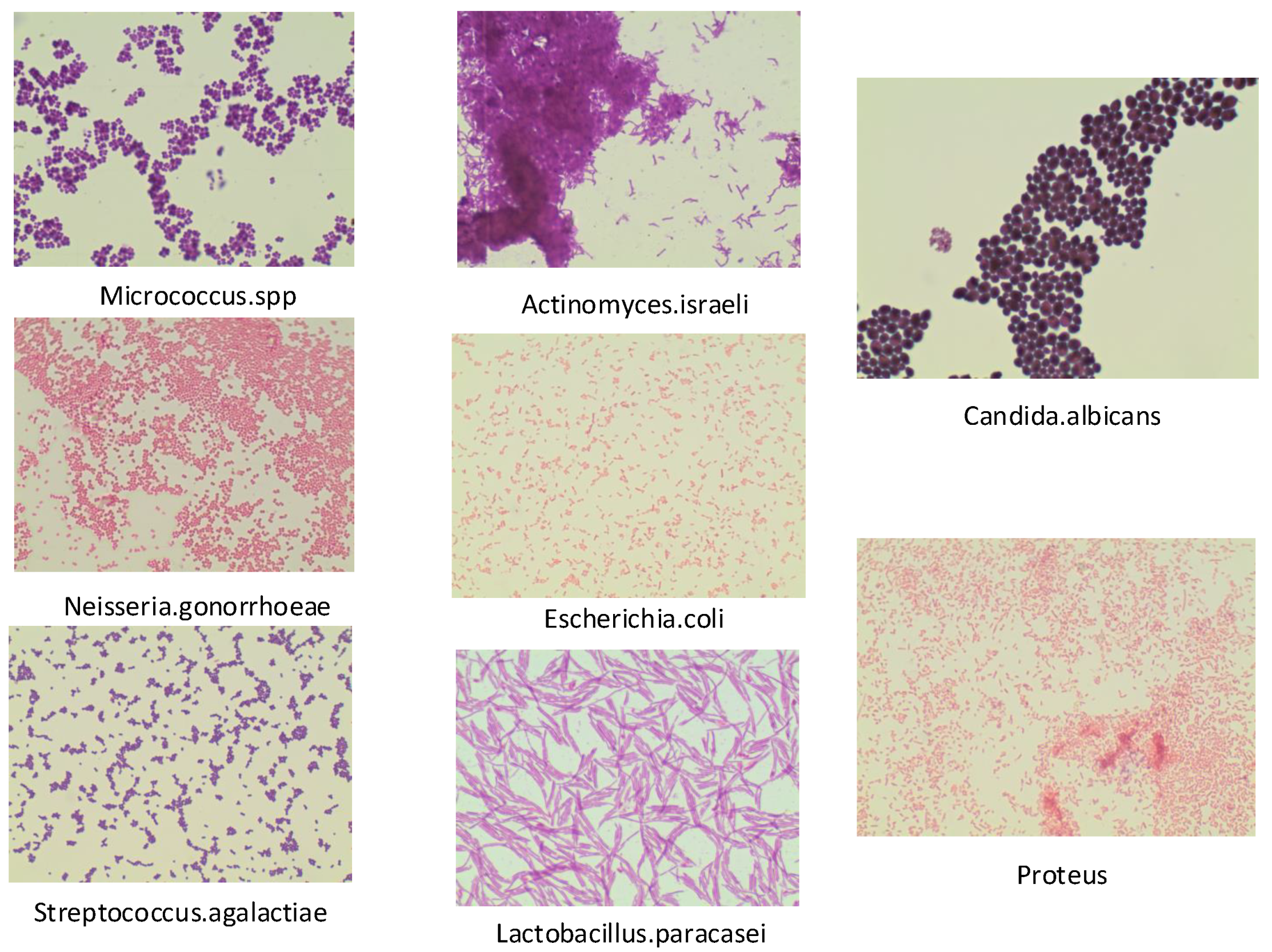Electronics 10 03005 g005
