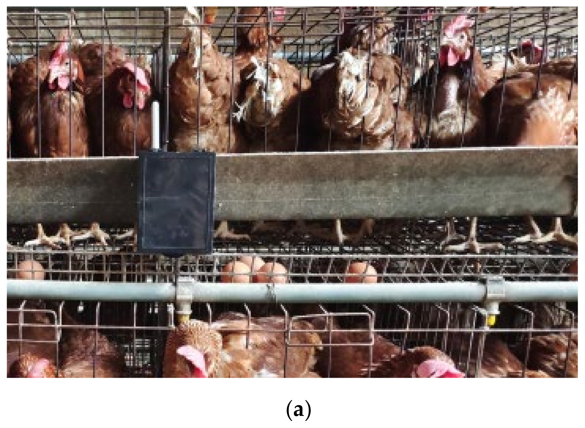 Electronics 10 03024 g002a